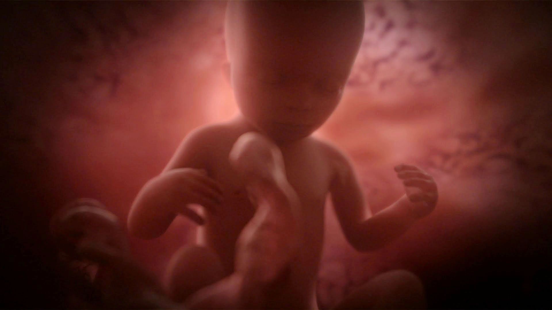 Weeks Pregnant. Belly, Baby Movements, & More