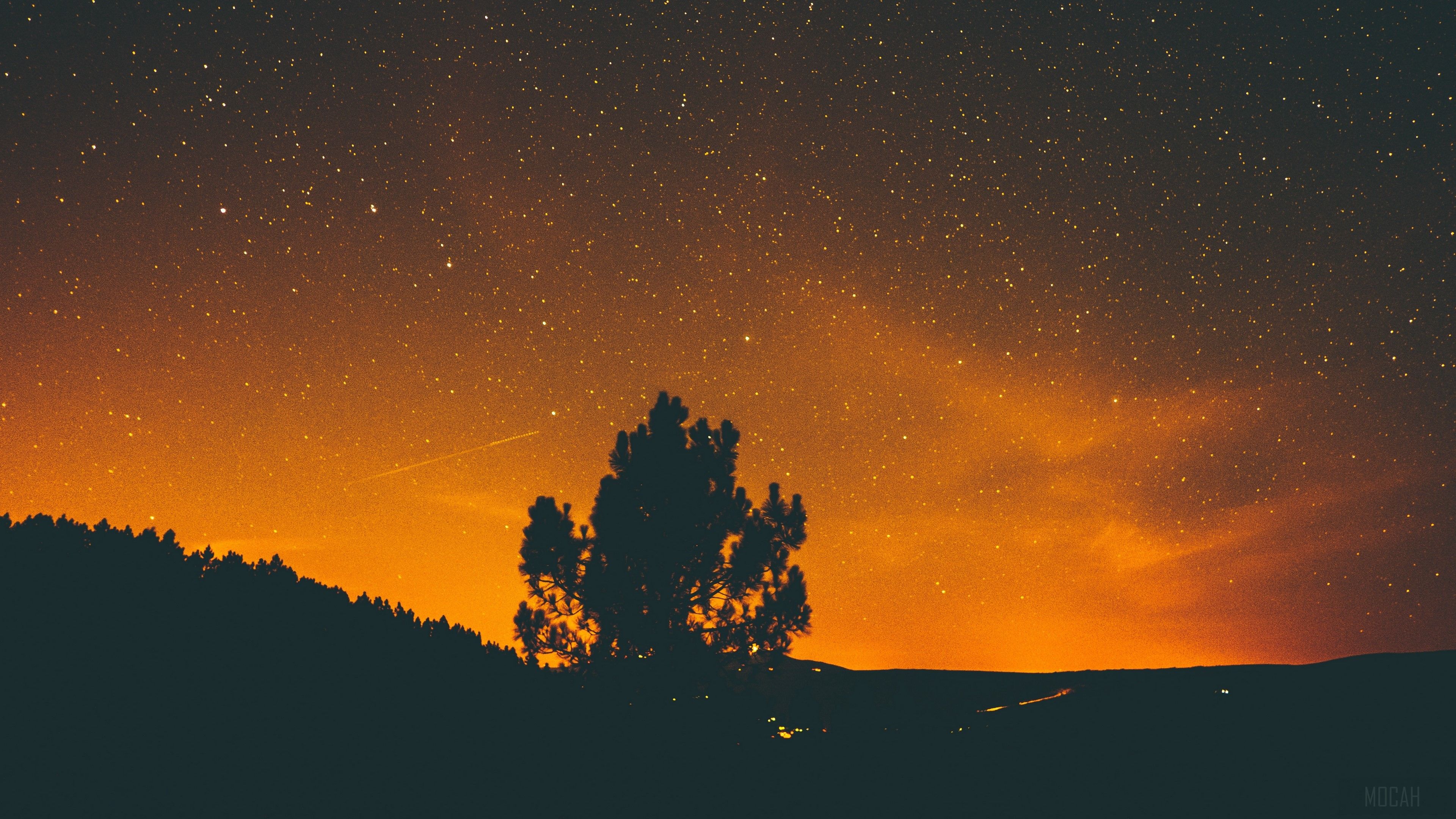 night, stars, sky, tree 4k wallpaper. Mocah HD Wallpaper
