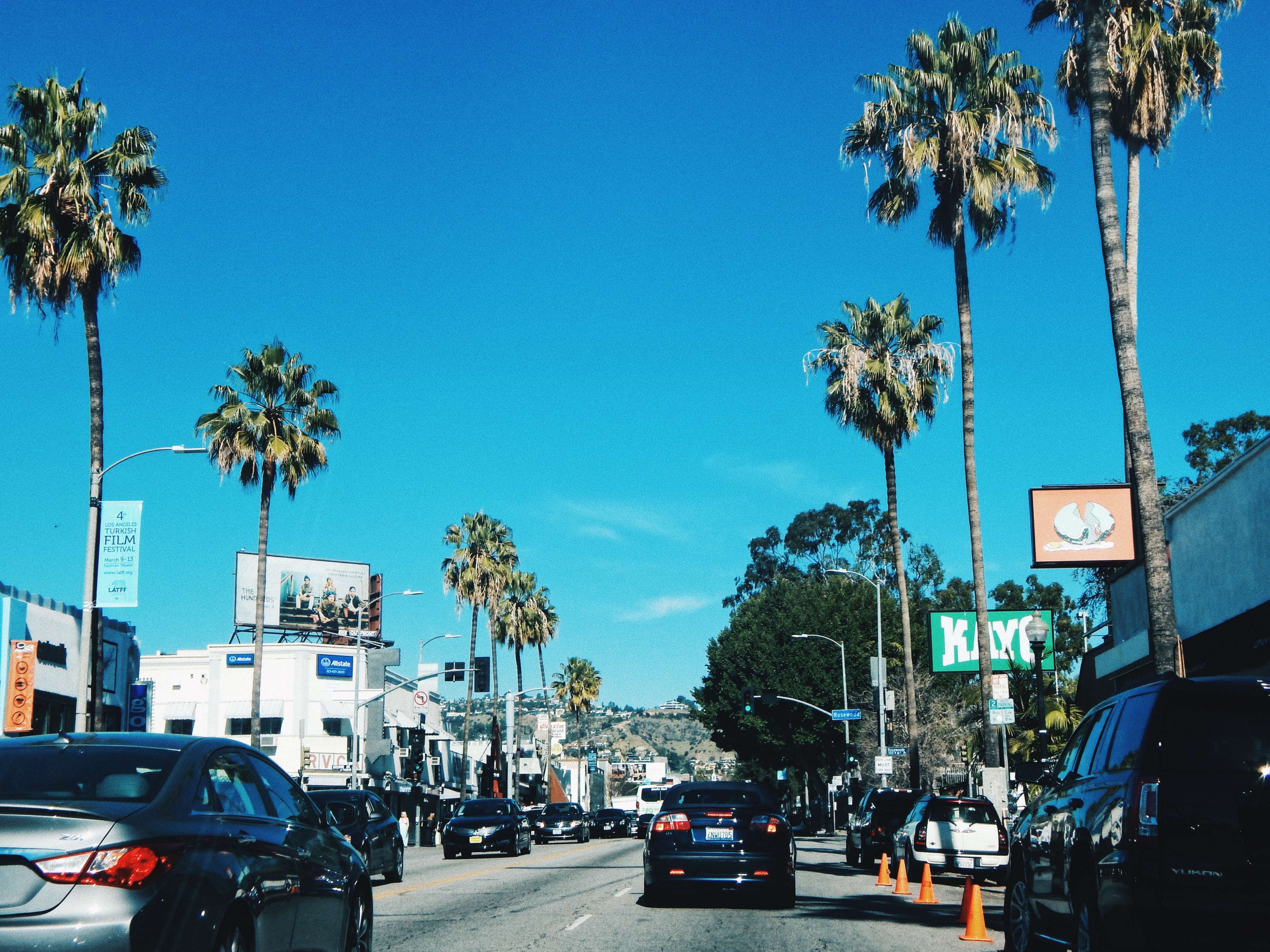 california, los angeles, palms, traffic, trip 4k wallpaper