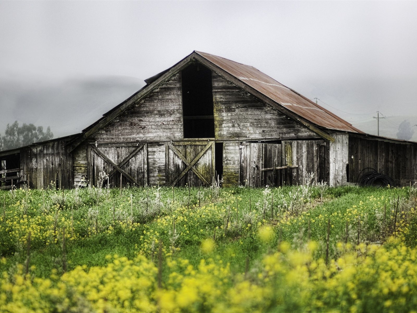 Wallpaper Spring landscape of farms, abandoned wooden house 2560x1600 HD Picture, Image