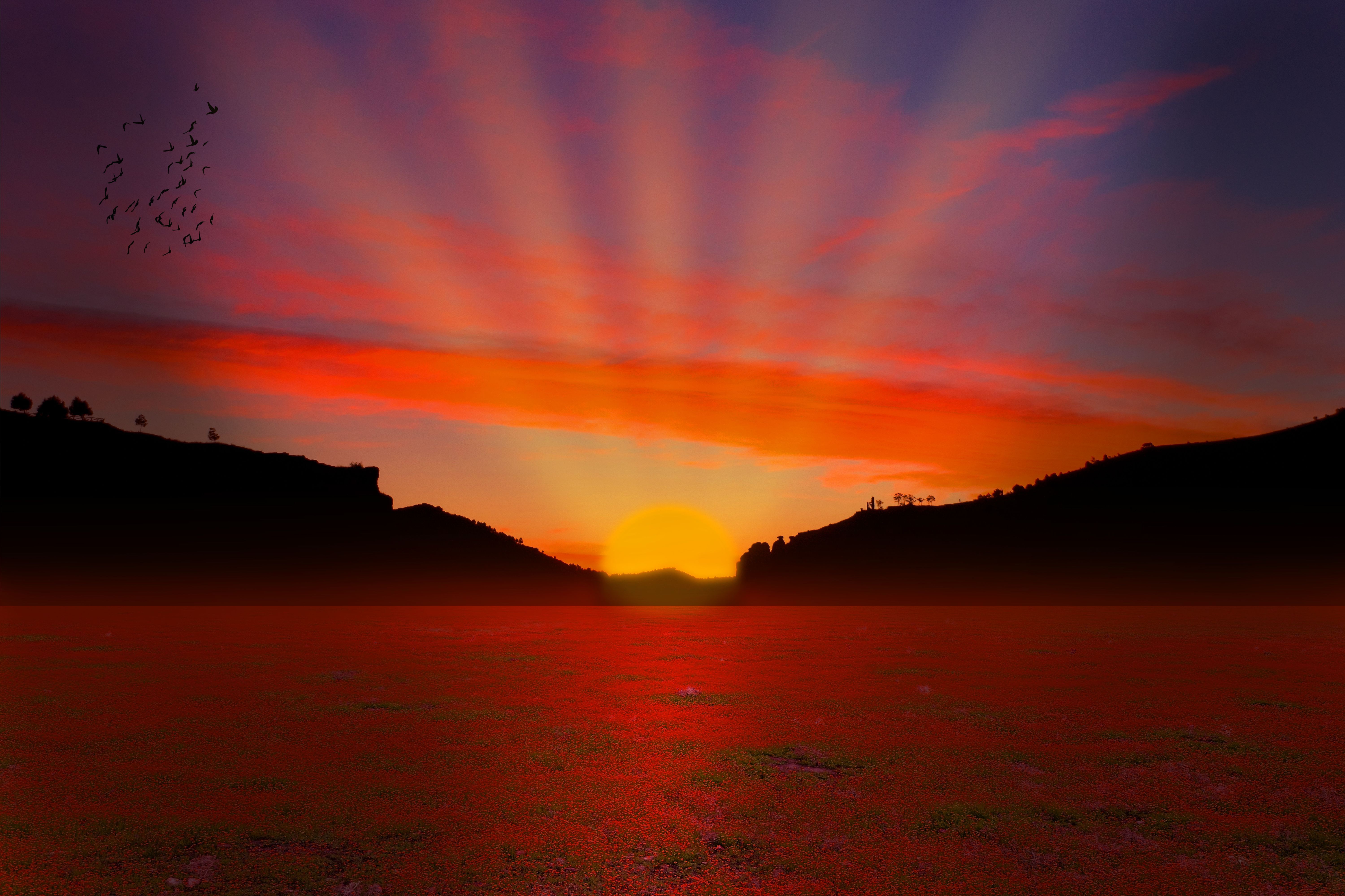 Field at Sunrise Computer Wallpaper, Desktop Background. Sunset nature, Summer sunset, Sunset