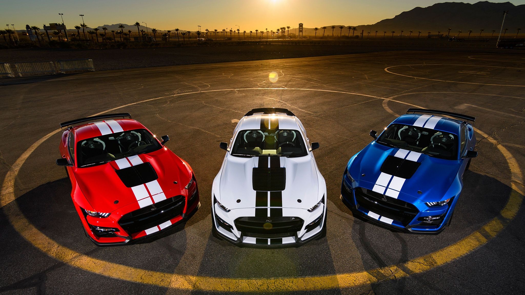 All of the New Muscle Cars You Can Buy in 2021