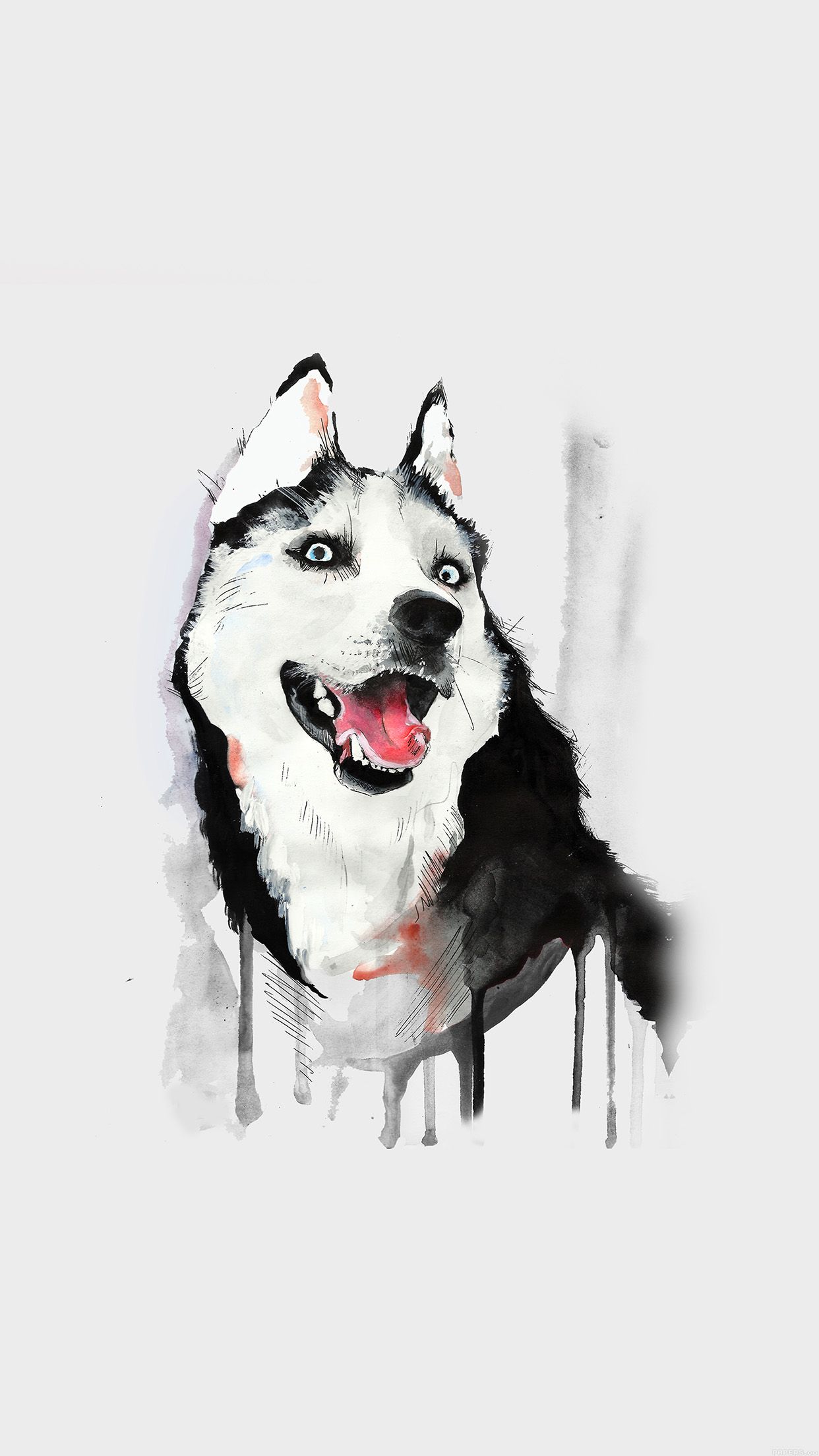 Happy Dog White Husky Animal Illust Watercolor Wallpaper
