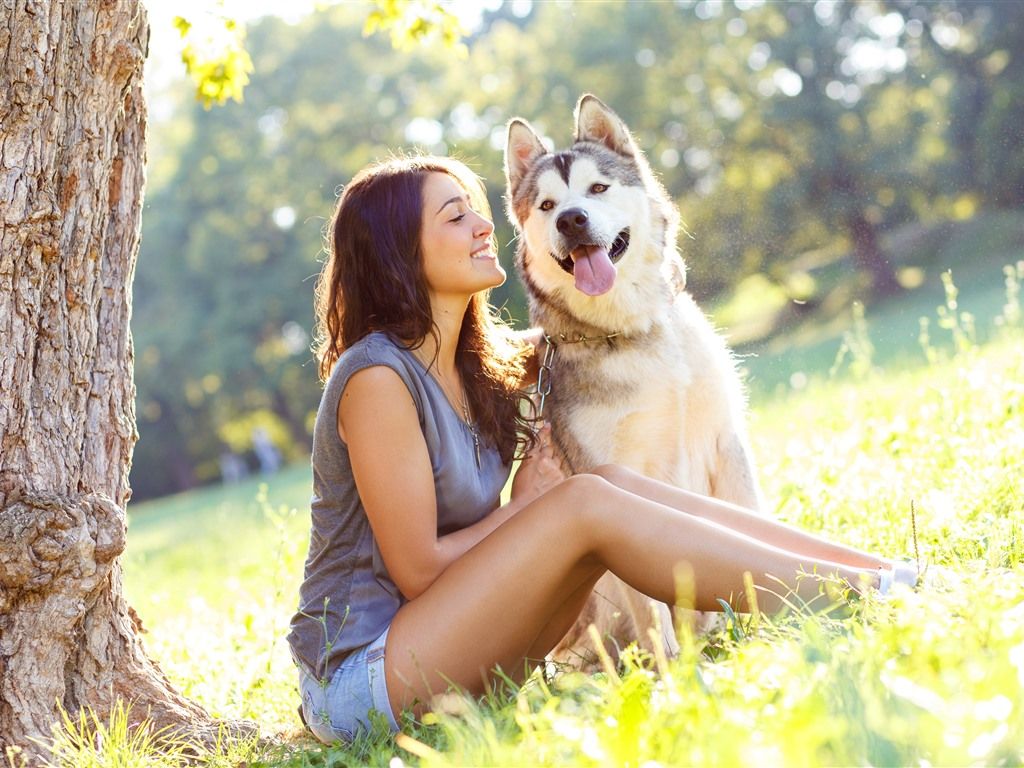 Wallpaper Happy girl and husky dog, grass, summer 3840x2160 UHD 4K Picture, Image