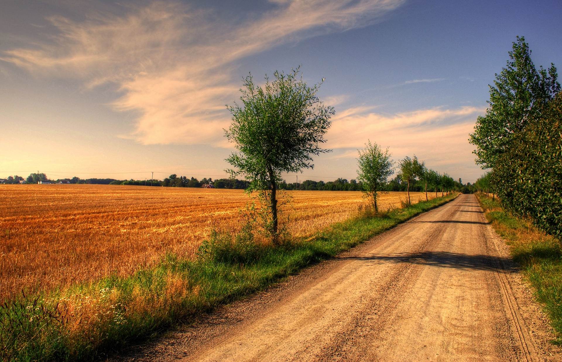 Village Road And Field Wallpaper