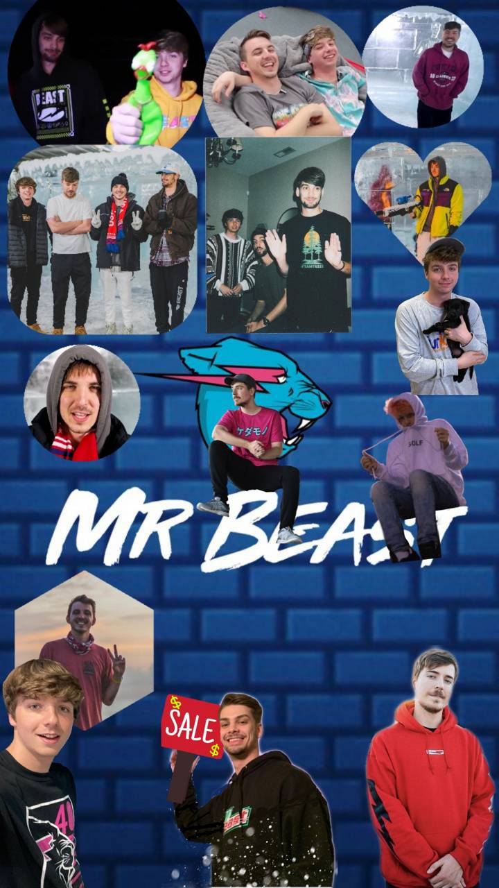 Mr Beast Crew wallpaper