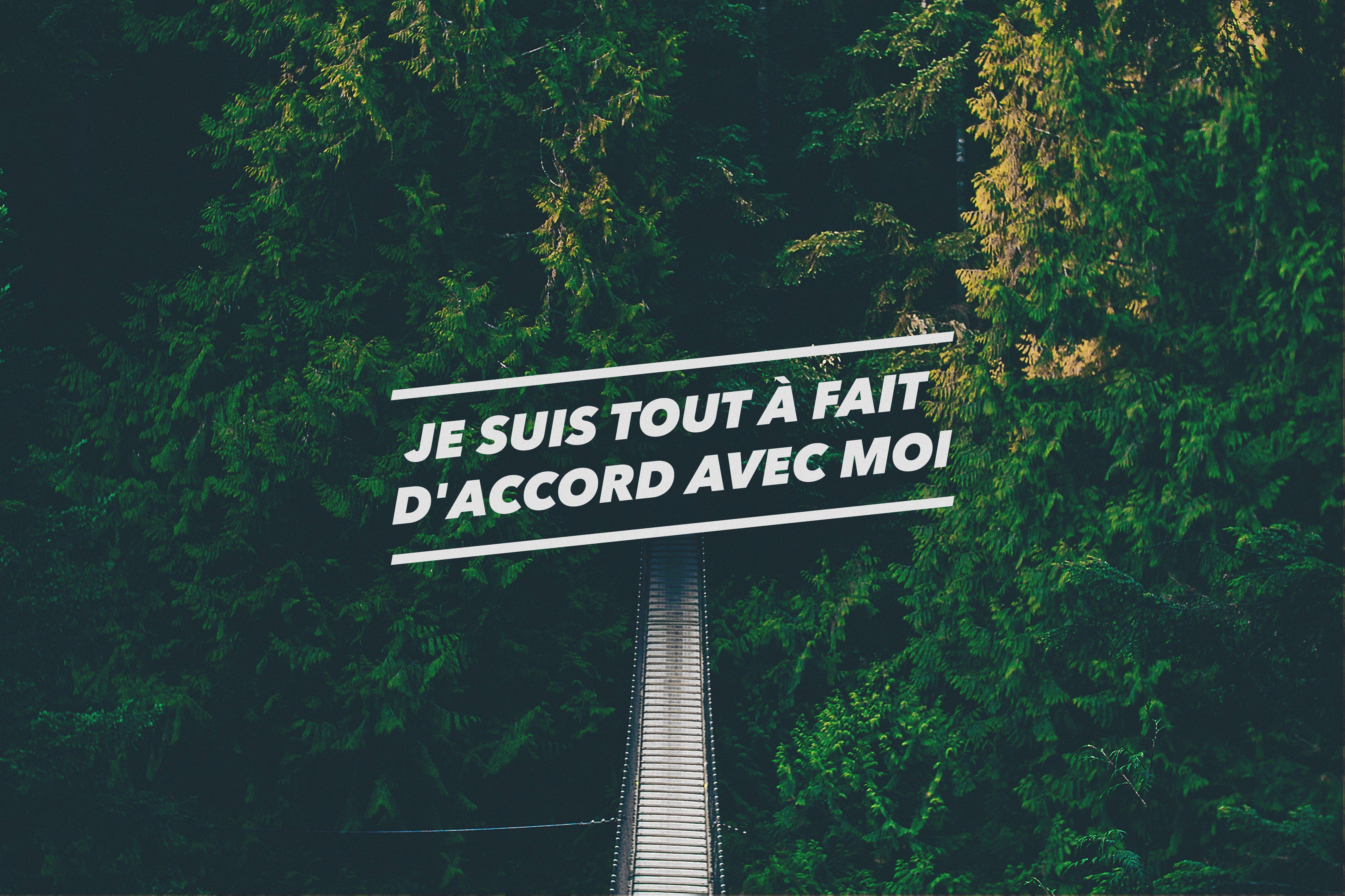 French, Forest, Green, Quote, Confidence, Bridge, Landscape HD Wallpaper / Desktop and Mobile Image & Photo