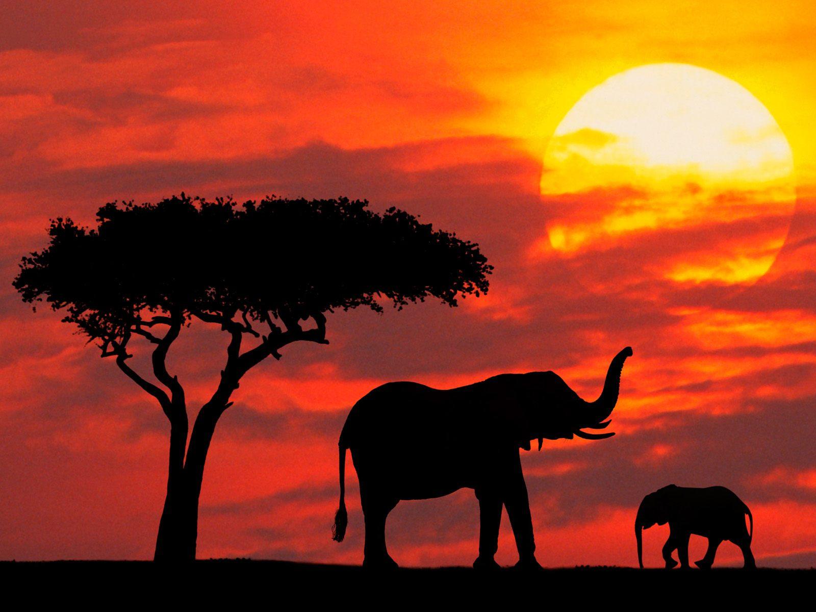 Mother and Baby Silhouetted at Sunrise, Kenya (African Elephants)