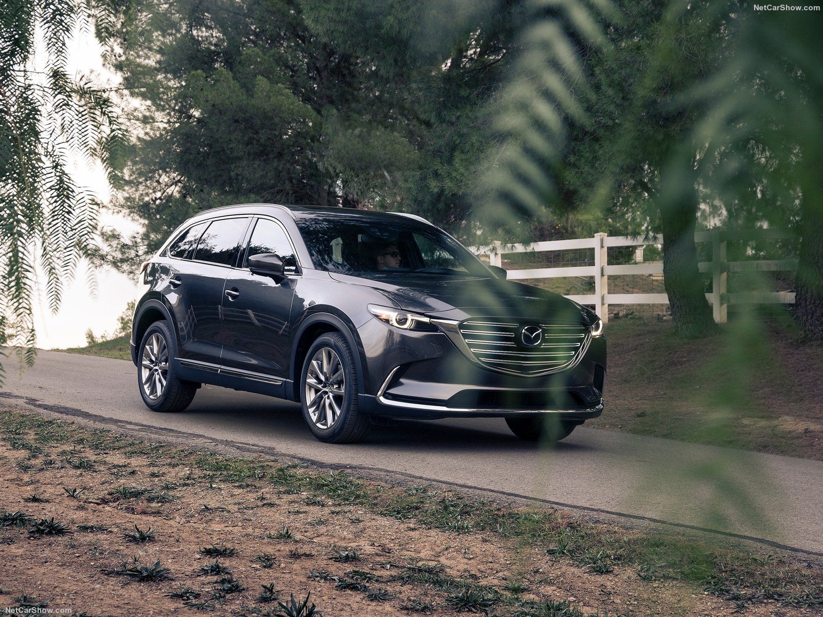 Mazda CX 9 Picture. Mazda Photo Gallery