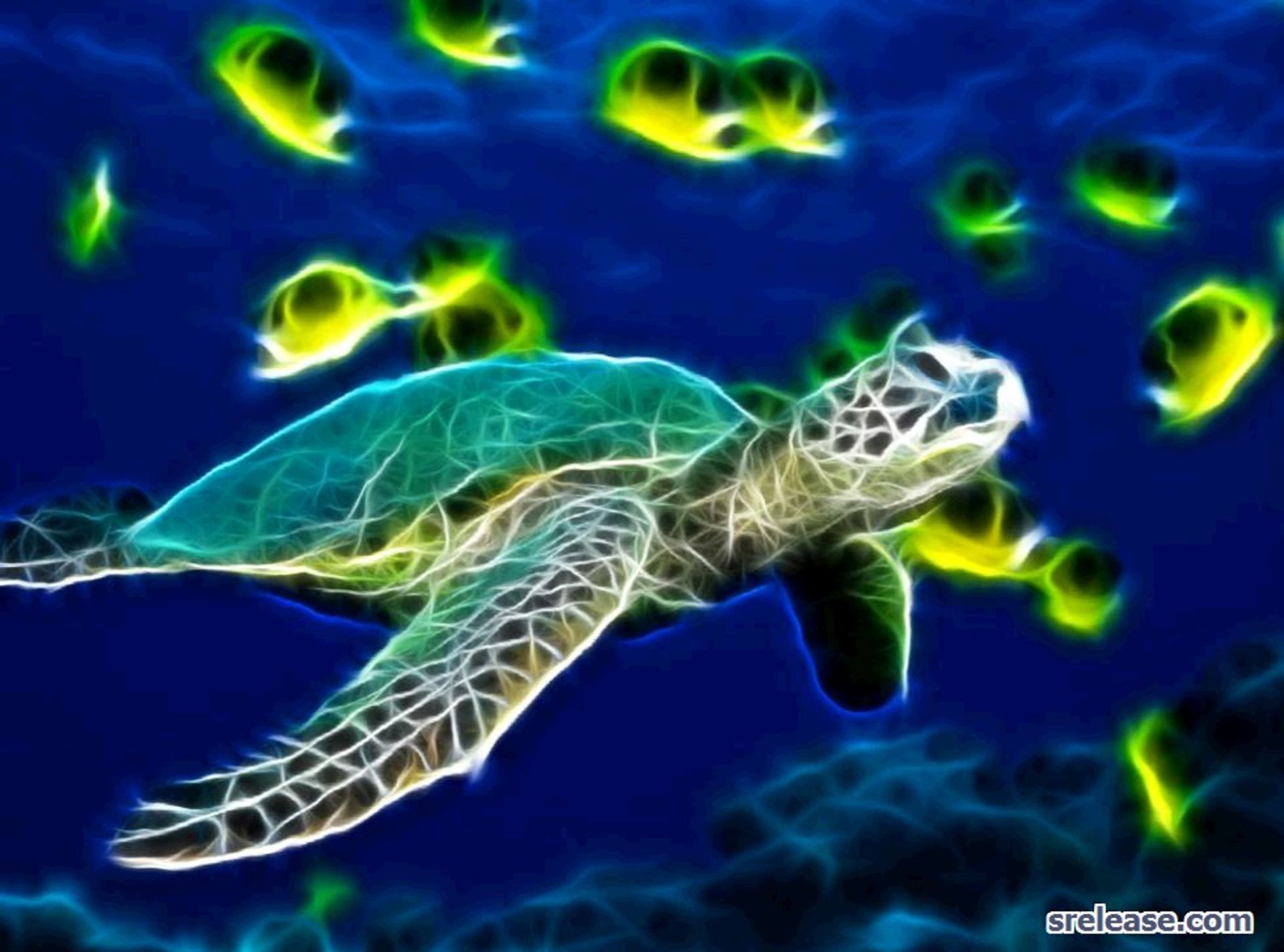 Earthtrust Conservation Worldwide. Sea turtle wallpaper, Turtle wallpaper, Sea turtle