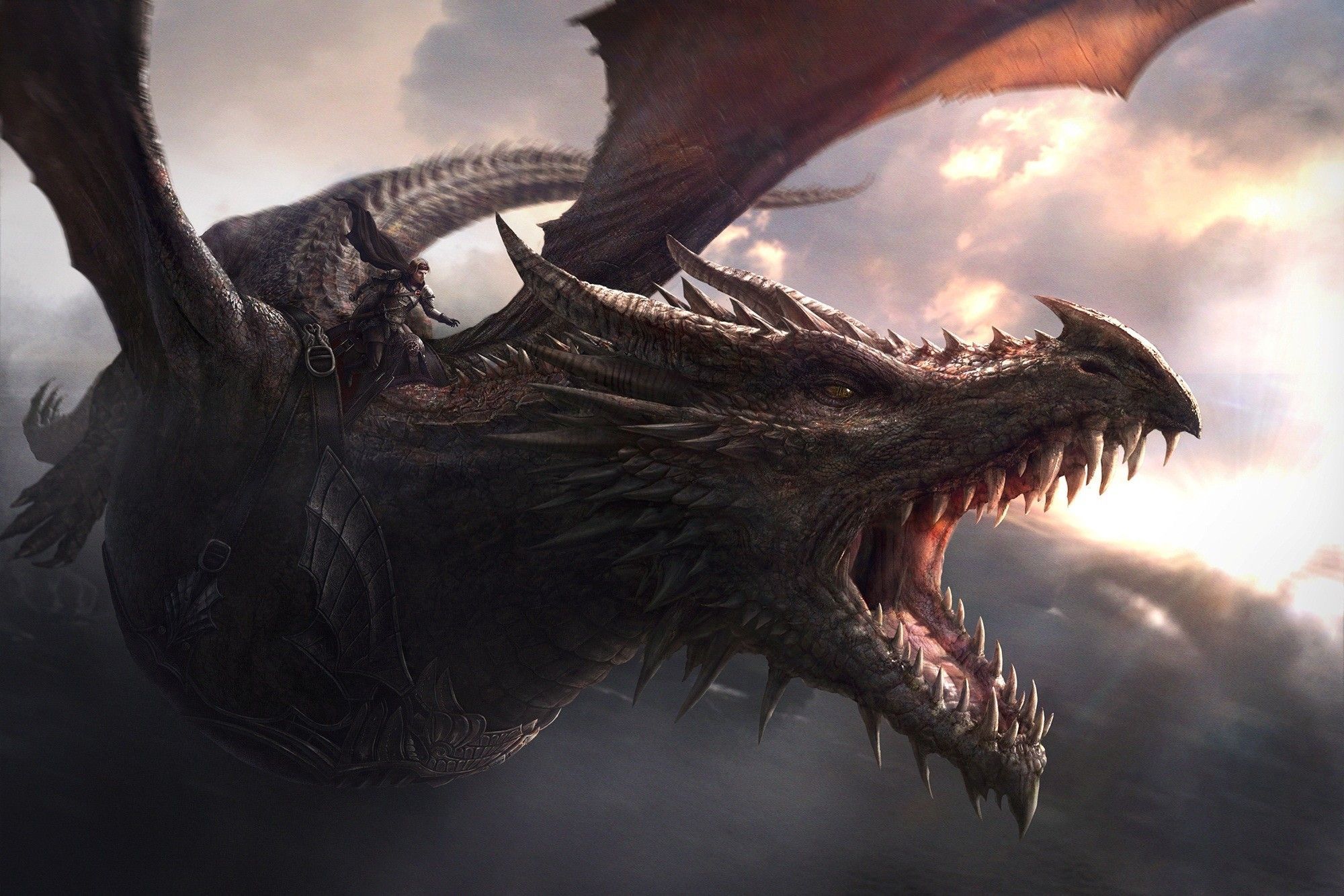Game of Thrones Dragons Wallpaper Free Game of Thrones Dragons Background. Dragon games, Game of thrones dragons, Balerion the black dread