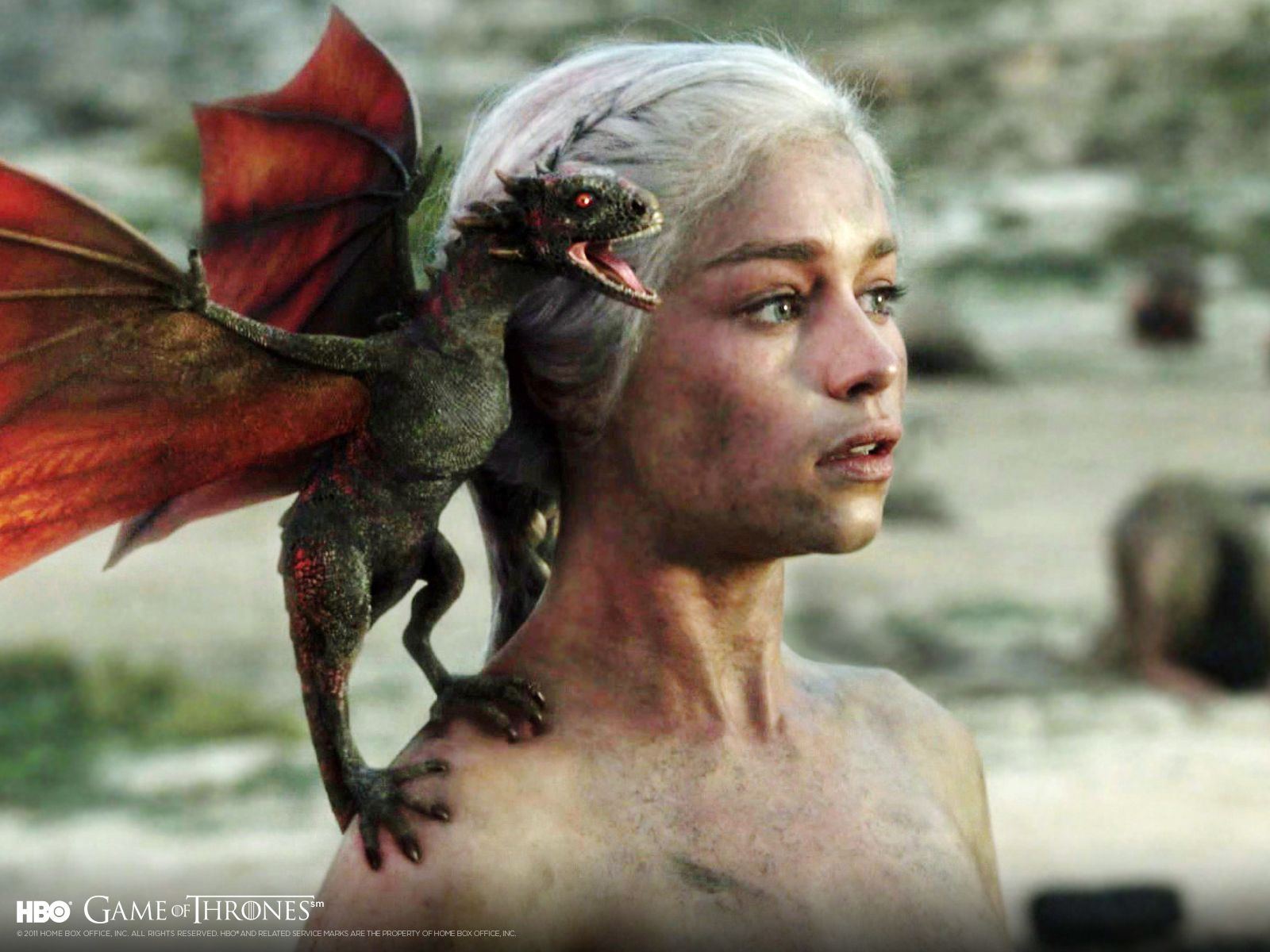 Daenerys Targaryen With Dragons HD Wallpaper