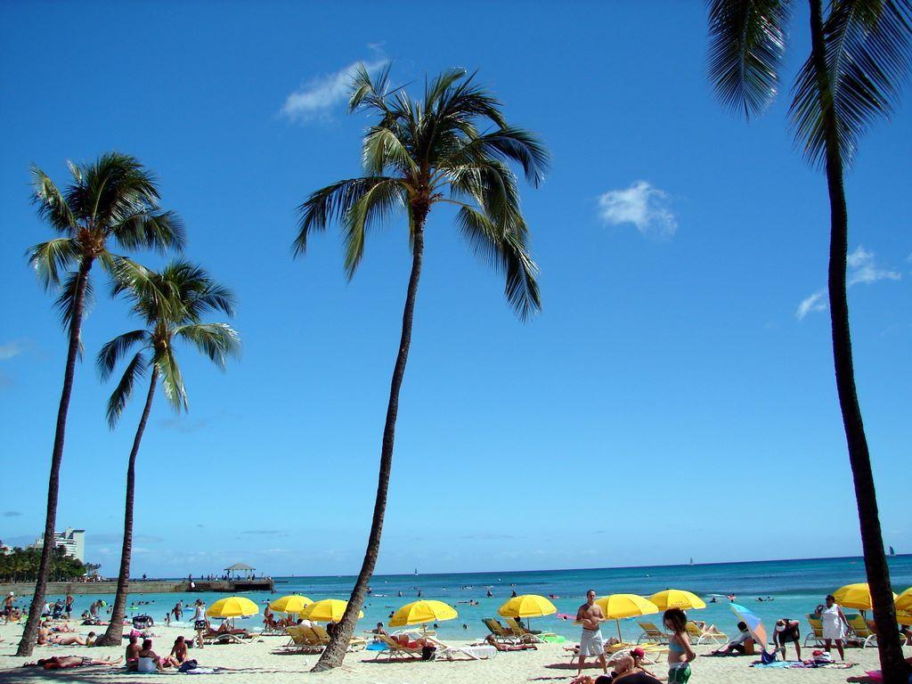 Waikiki Oahu Hawaii Beach