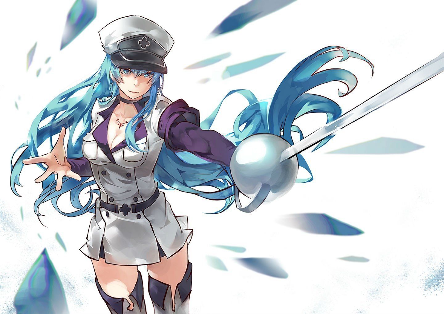 Wallpaper girl, ice, anime, art, esdeath, akame ga kill for mobile