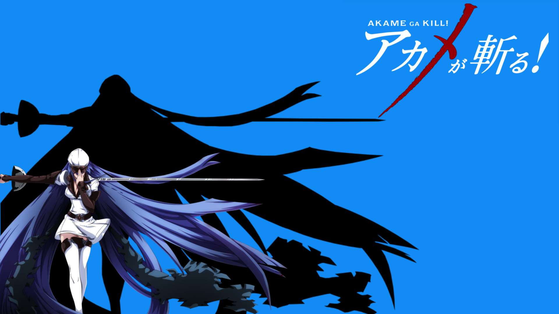 Wallpaper, Esdeath, Akame ga Kill 1920x1080