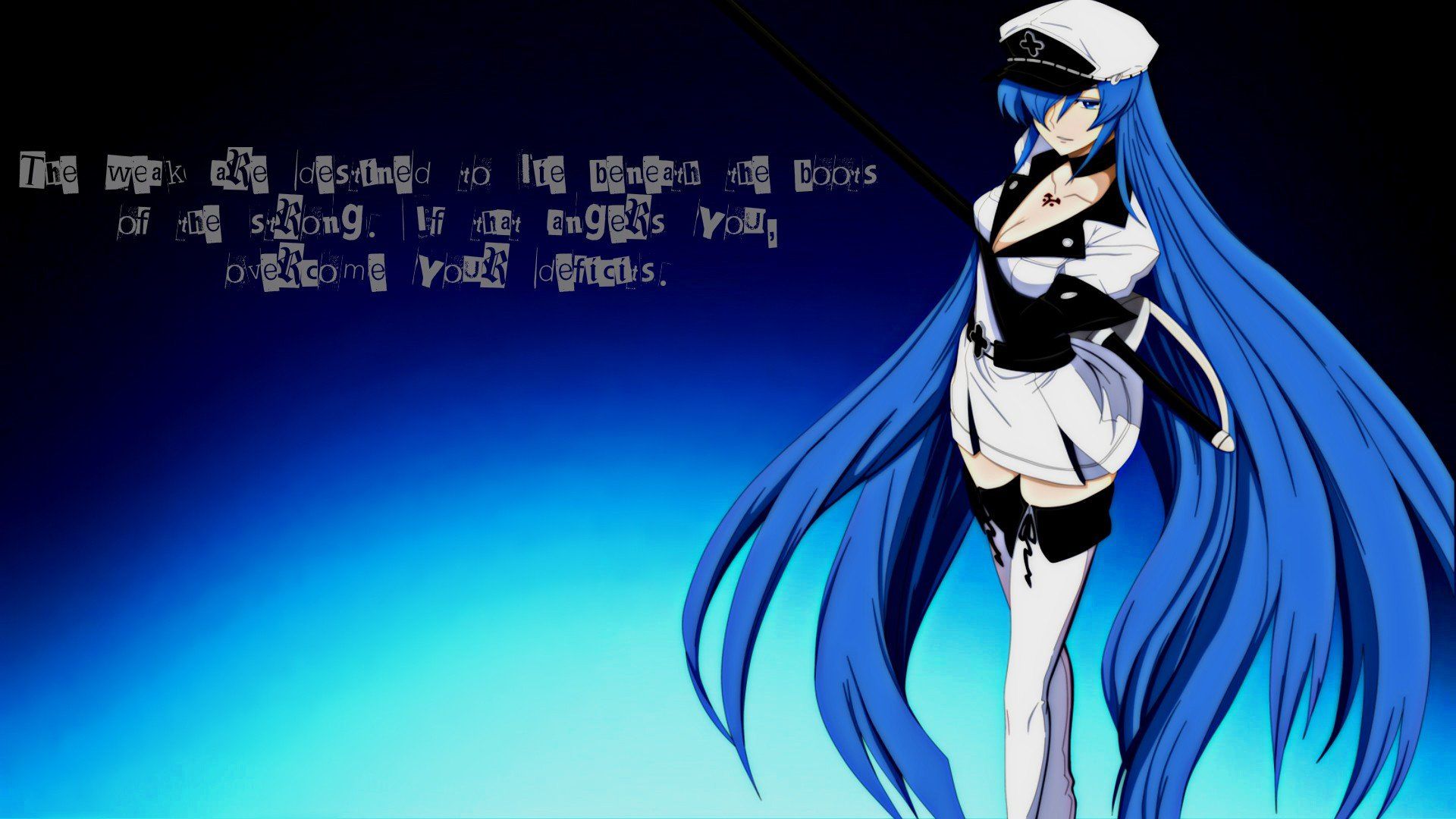 blue, Anime girls, Anime, Akame ga Kill!, Esdeath Wallpaper HD / Desktop and Mobile Background
