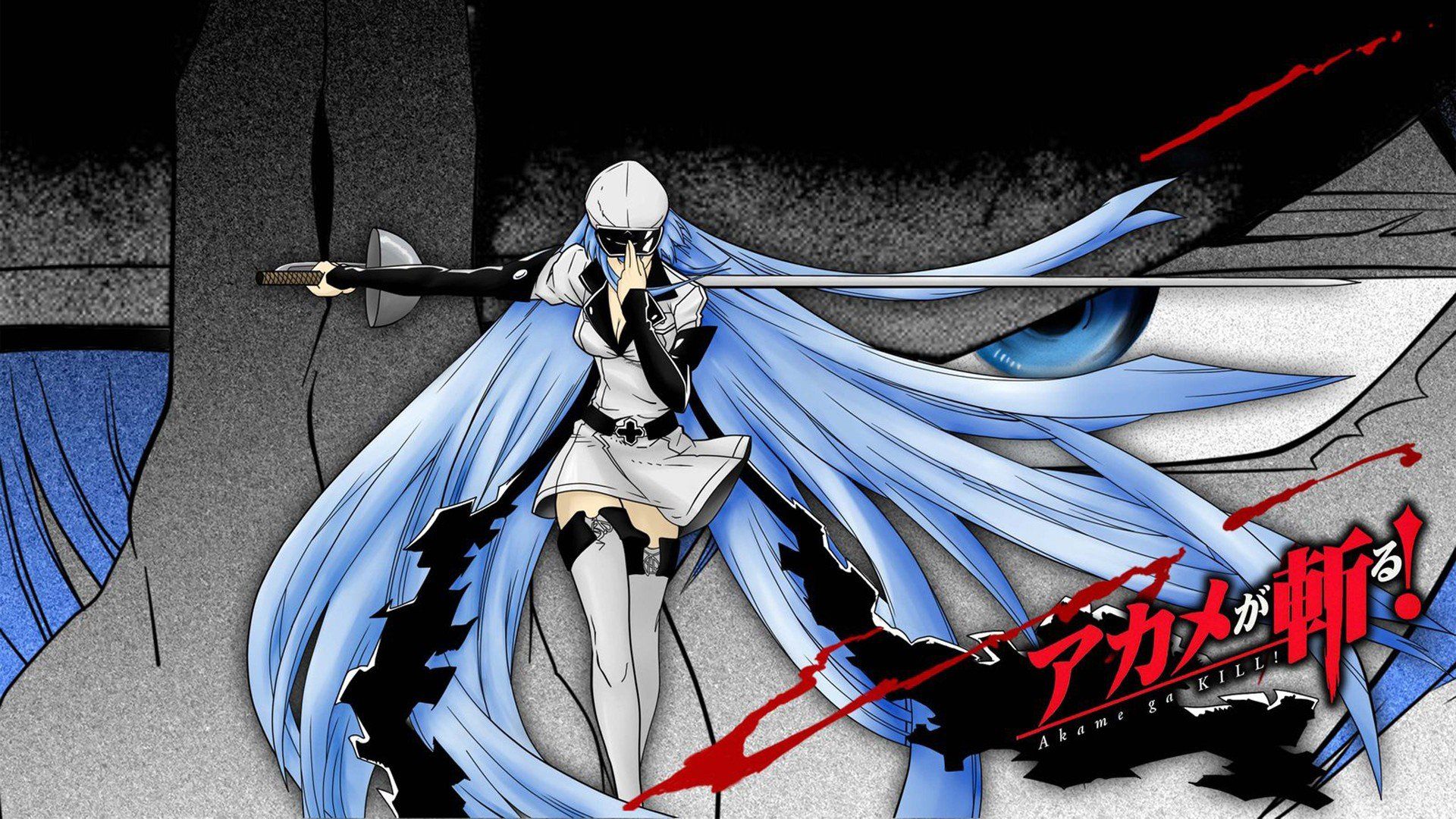 Akame ga Kill!, Esdeath Wallpaper HD / Desktop and Mobile Background