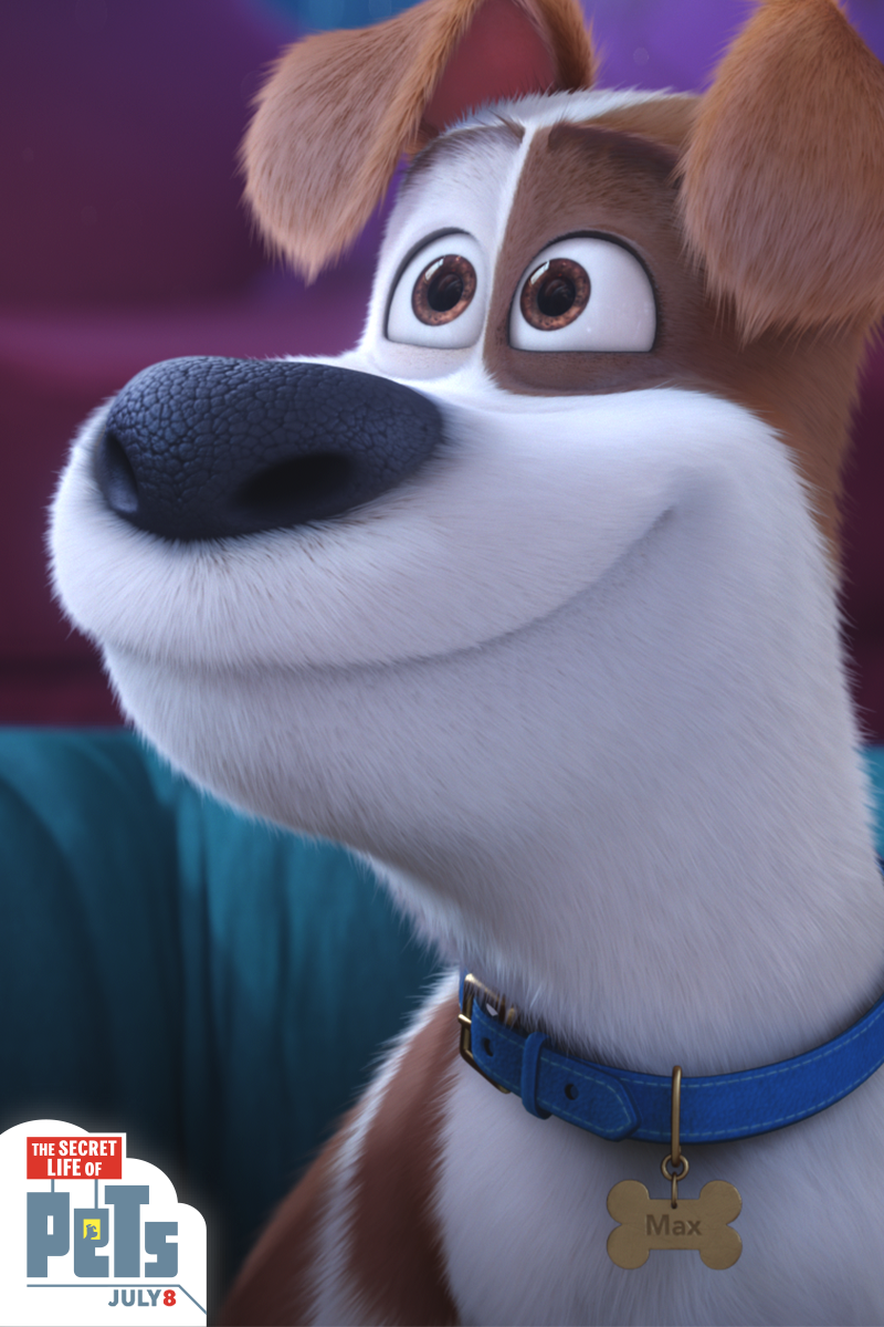 You can't deny Max's adorable puppy eyes. The Secret Life of Pets. Now Playing. Cute cartoon wallpaper, Pets movie, Cute disney picture