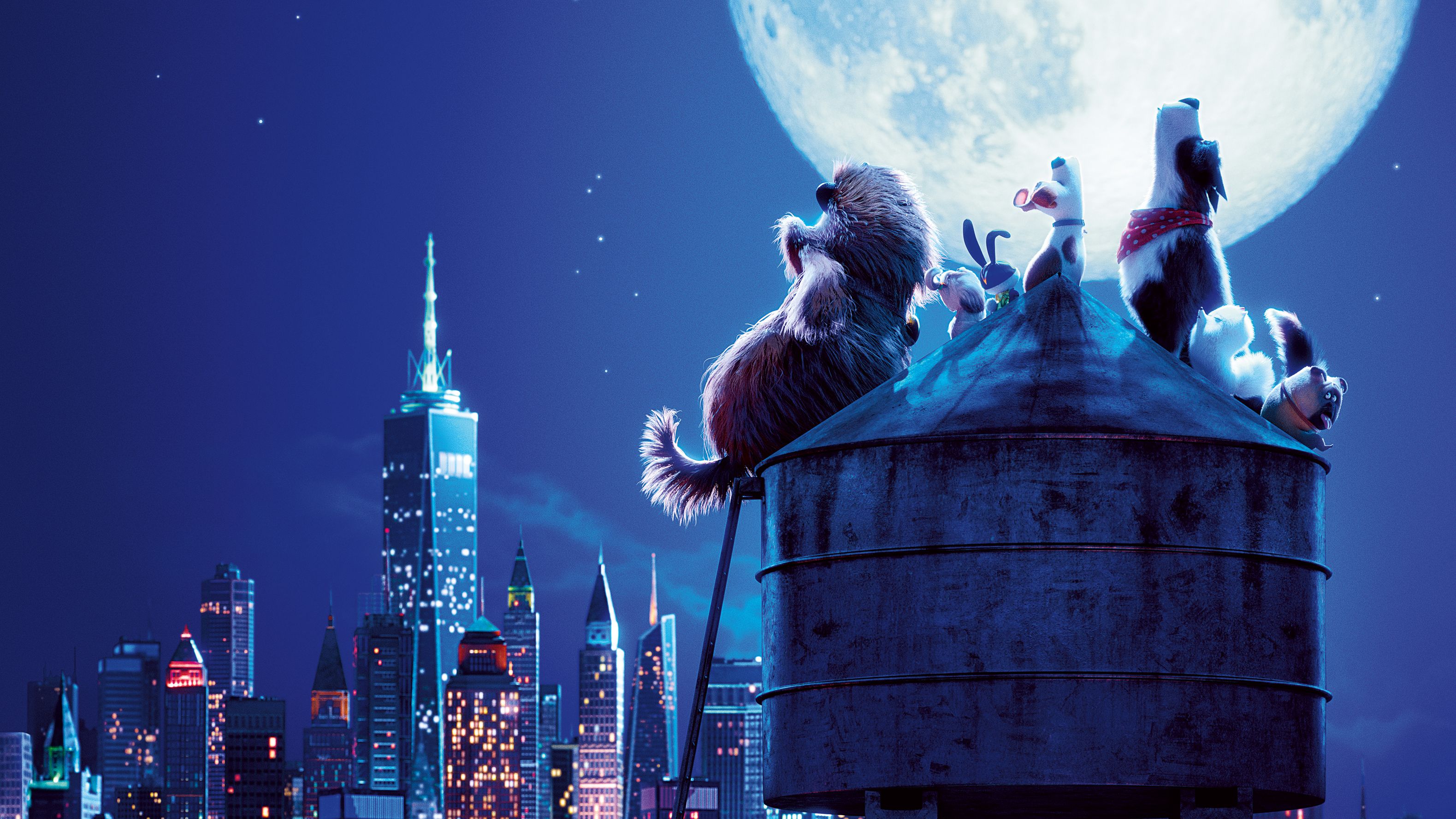 The Secret Life Of Pets 2, HD Movies, 4k Wallpaper, Image, Background, Photo and Picture