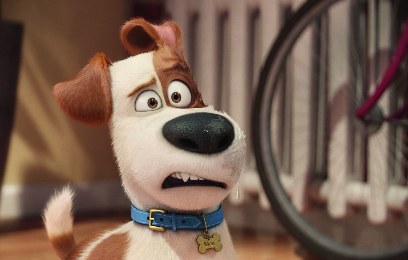 Wallpaper Dog, Cartoon, Max, The Secret Life of Pets, Terrier, The Secret Life Of Pets image for desktop, section фильмы