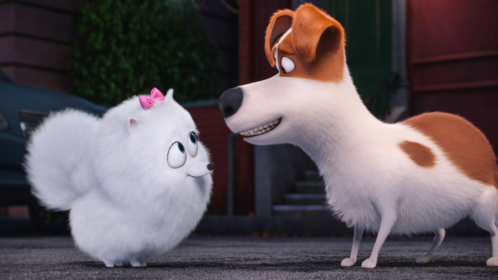 The Secret Life Of Pets Max Wallpapers Wallpaper Cave