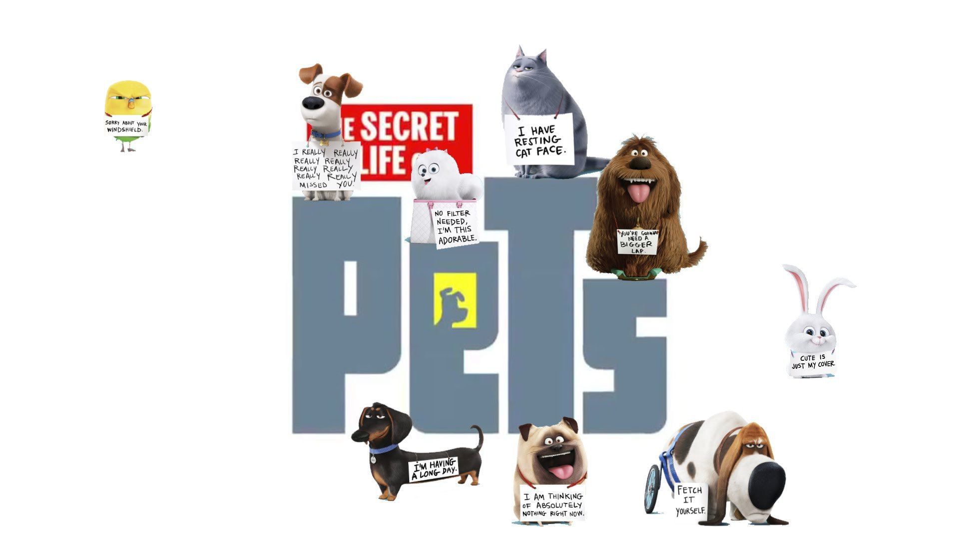 The Secret Life of Pets Snowball and Max Chloe wallpaper HD. Secret life of pets, Secret life, Pets