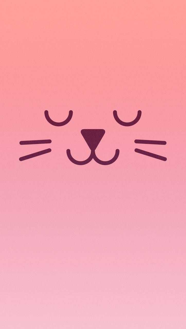 Pink Cat Wallpaper