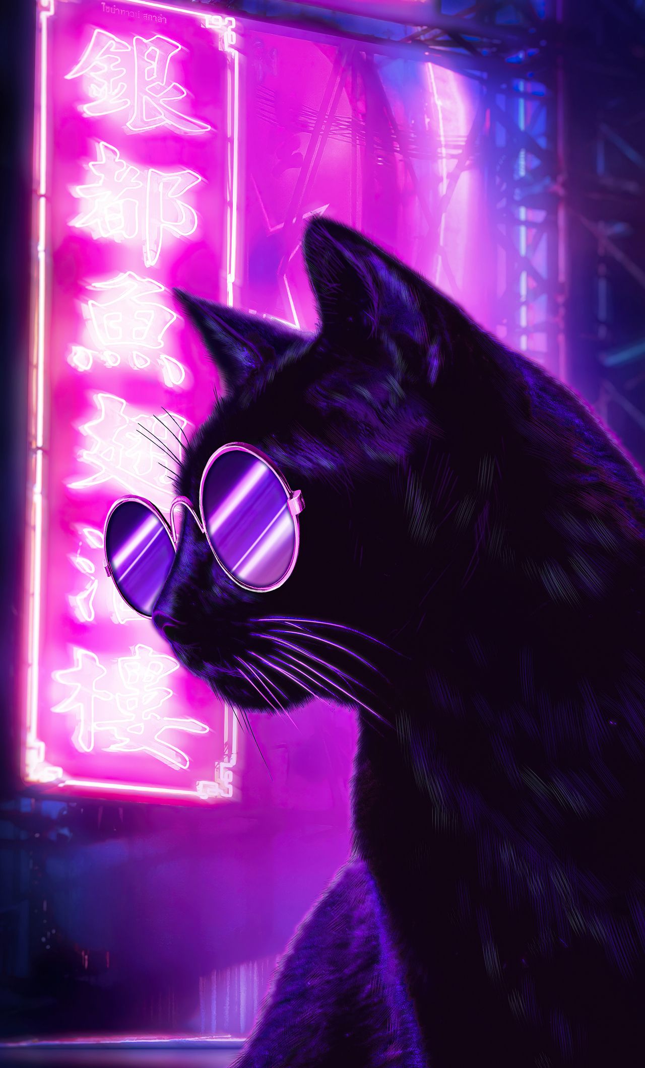 Cat Glasses Neon Purple Nights 4k iPhone HD 4k Wallpaper, Image, Background, Photo and Picture