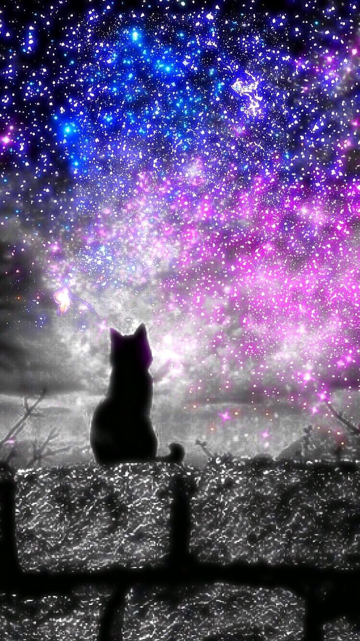Purple Cat in 2023  Purple cat, Black cat aesthetic, Cat aesthetic