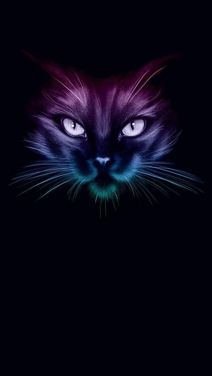 Phone wallpaper. Black cat art, Cat colors, Neon cat