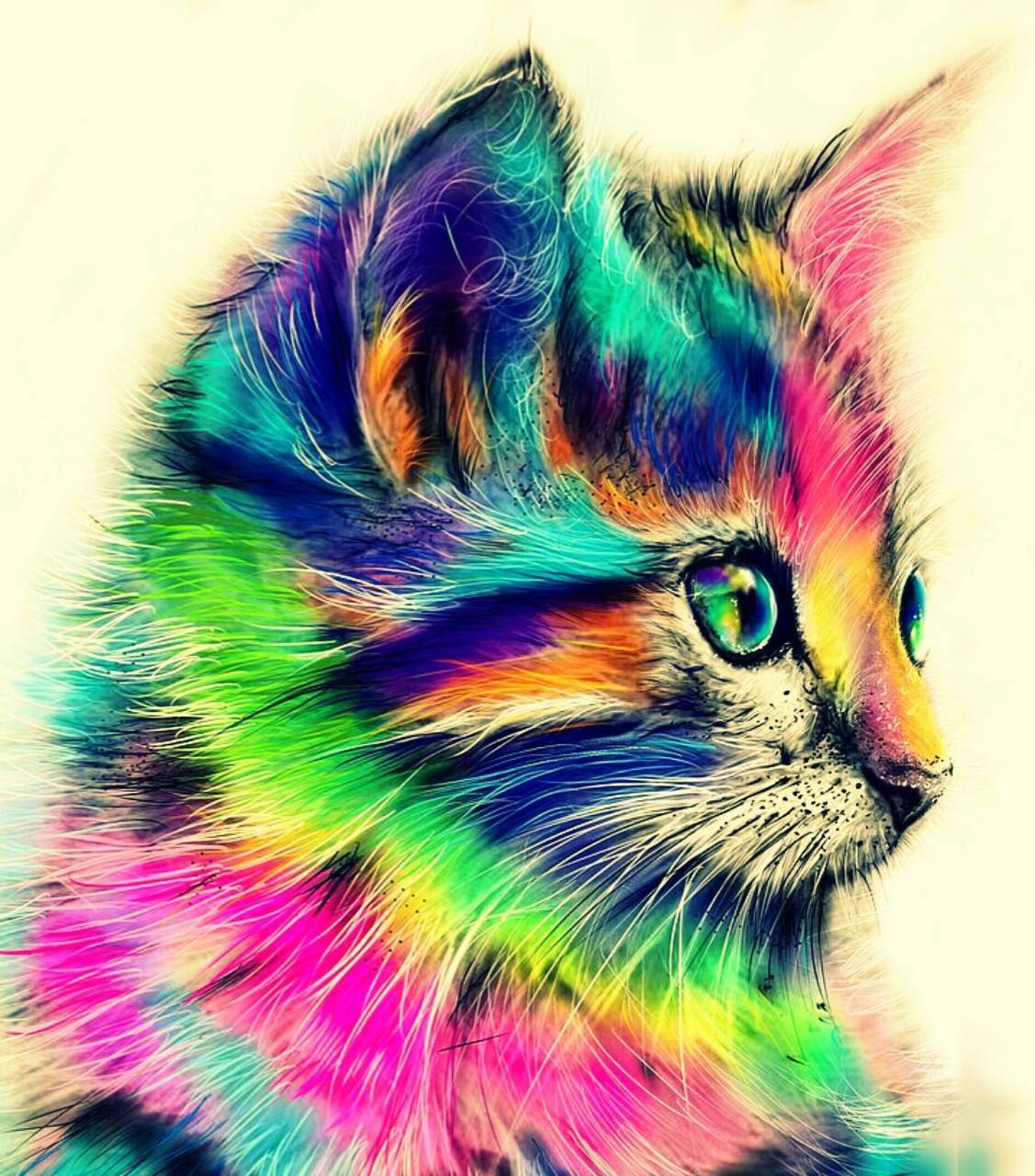 Colorful Cat Wallpaper Free Colorful Cat Background