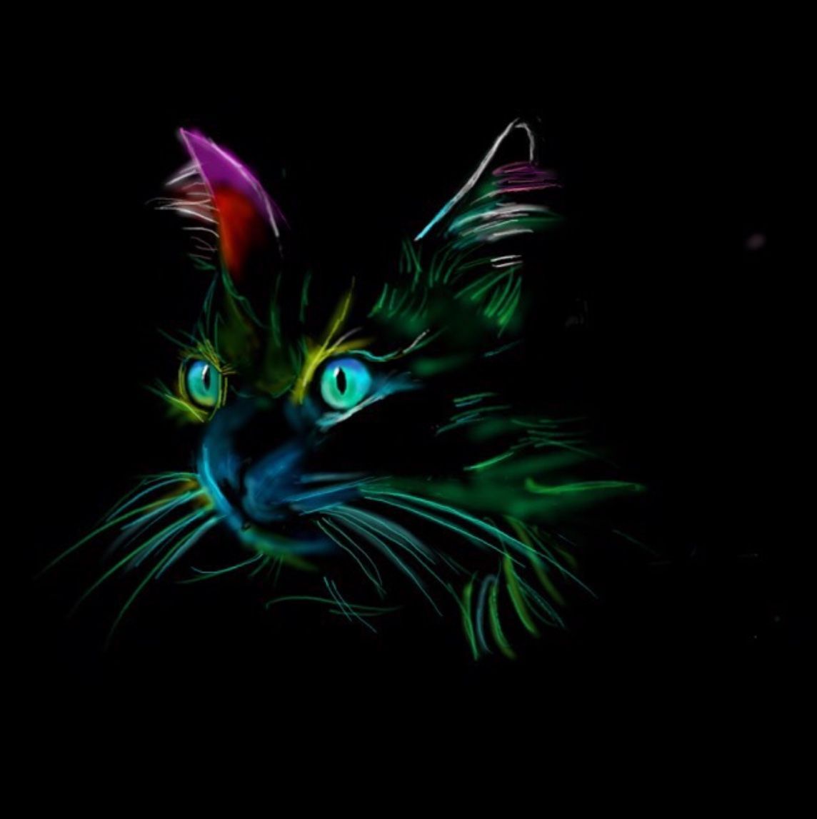 Lovely neon kitty