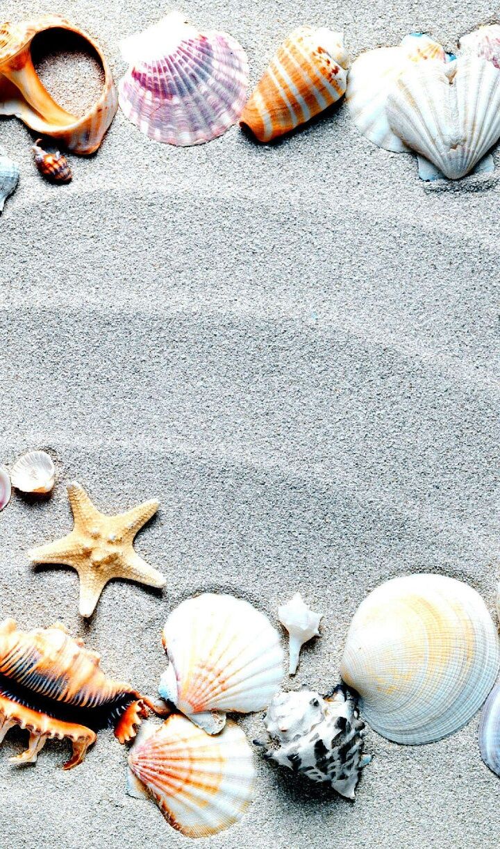 background, beach, beautiful, beauty, nature, sand, shells, solar, summer, sun, sunlight, sunshine, wallpaper, we heart it, iphone wallpaper iphone