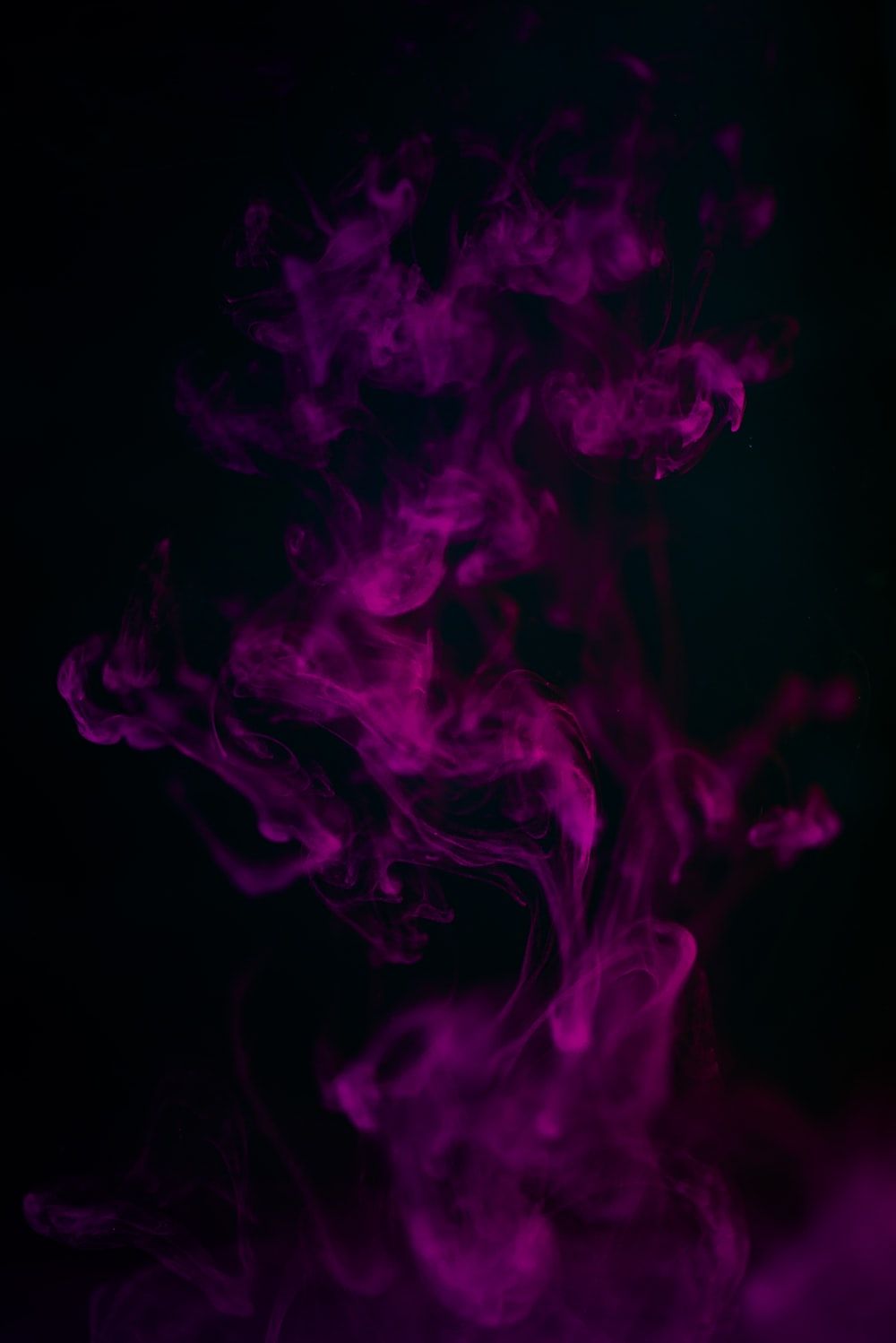 purple smoke in black background photo