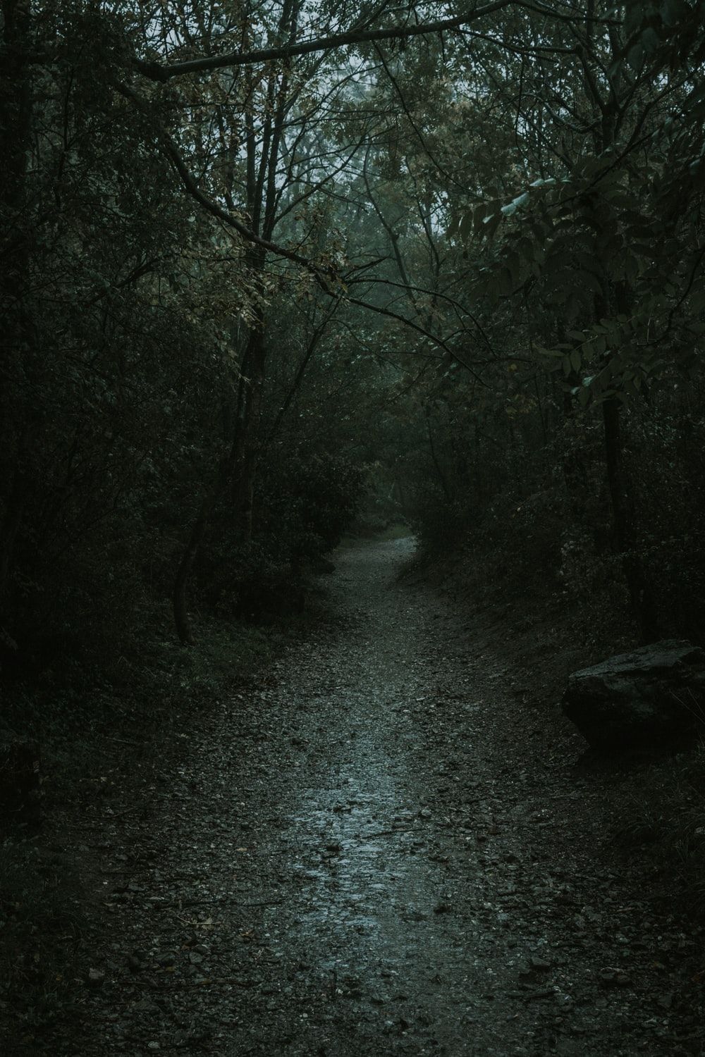 Dark Scary Road