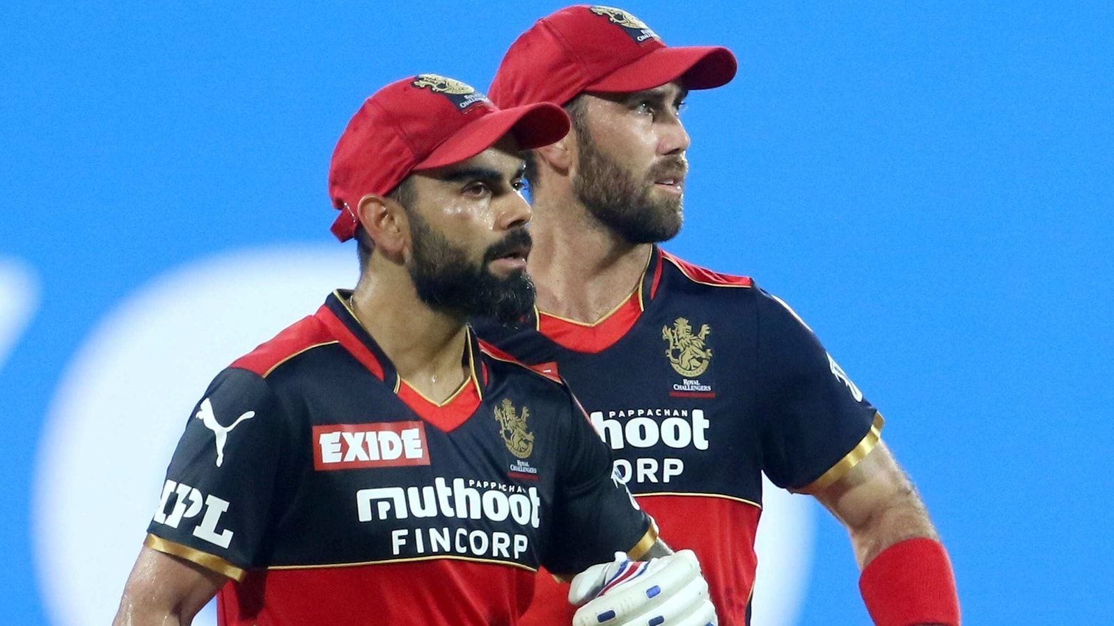 Glenn Maxwell reveals Virat Kohli's reaction after Adam Zampa handed over RCB cap to him before IPL 2021 auction