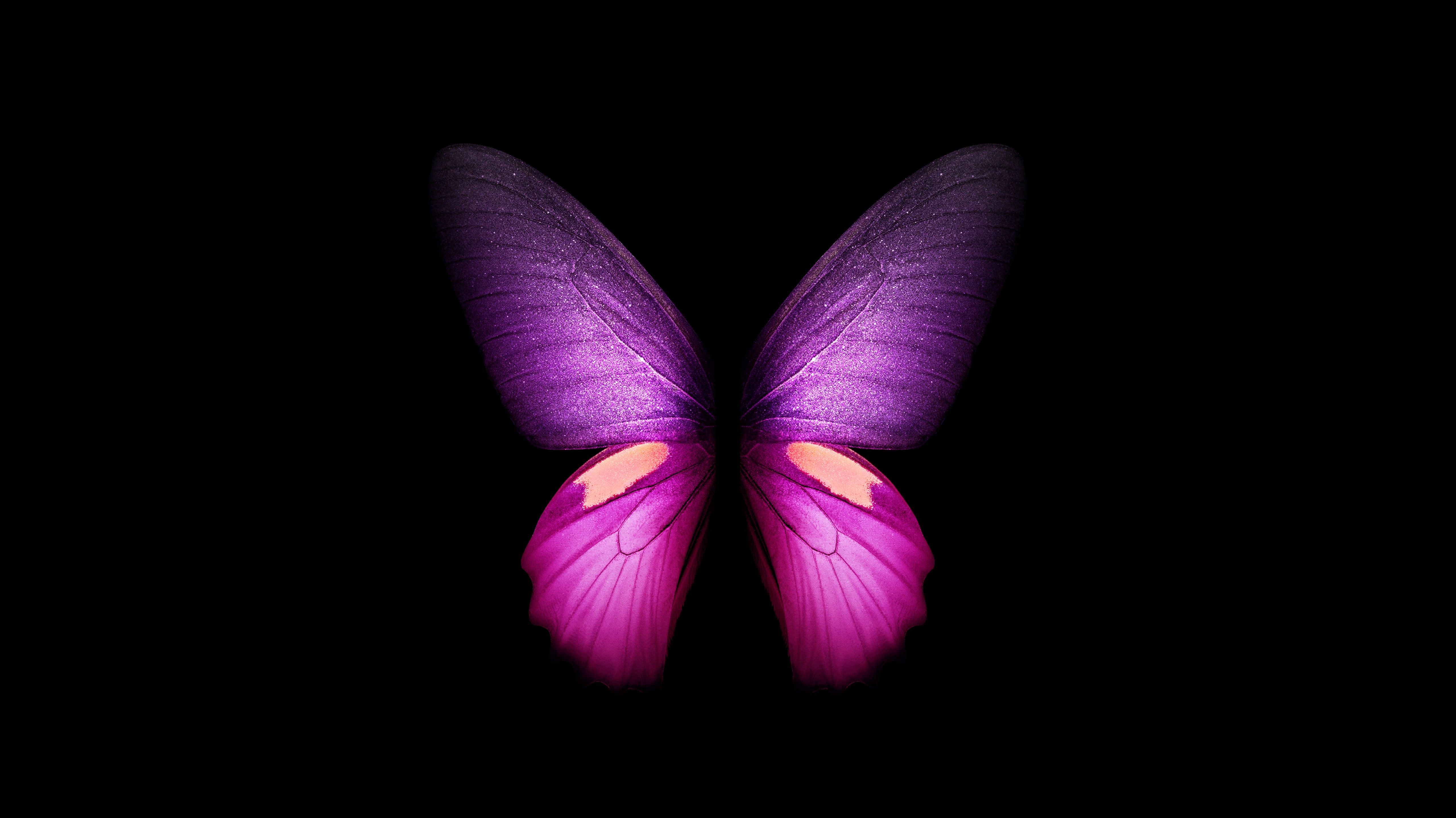 Purple Butterfly 4K Wallpaper, Wings, Black background, Samsung Galaxy Fold, AMOLED, CGI, Girly, Stock, Graphics CGI