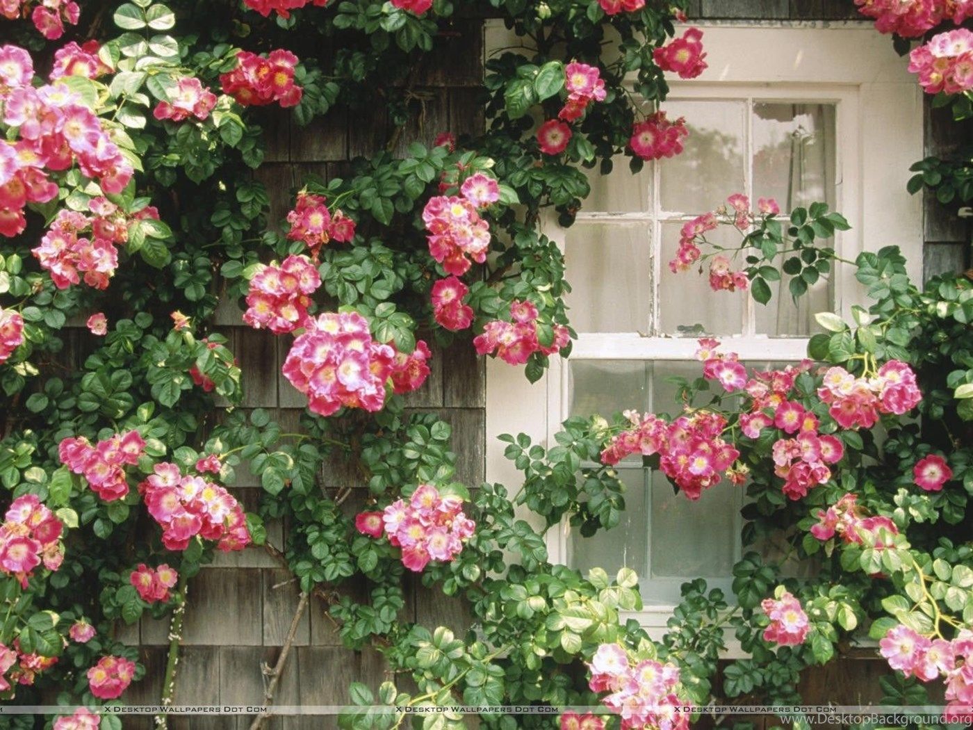 Nantucket Wallpapers - Wallpaper Cave