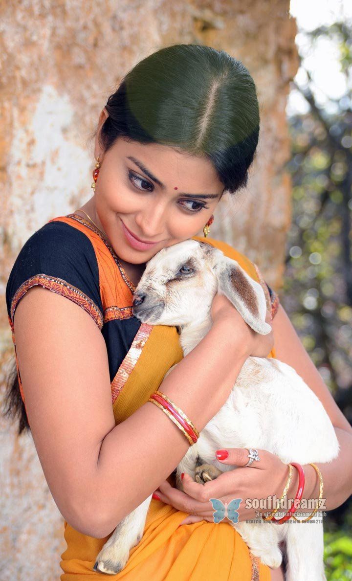 Kutty Movie Wallpapers Wallpaper Cave Kutty Movie Wallpapers Wallpaper Cave