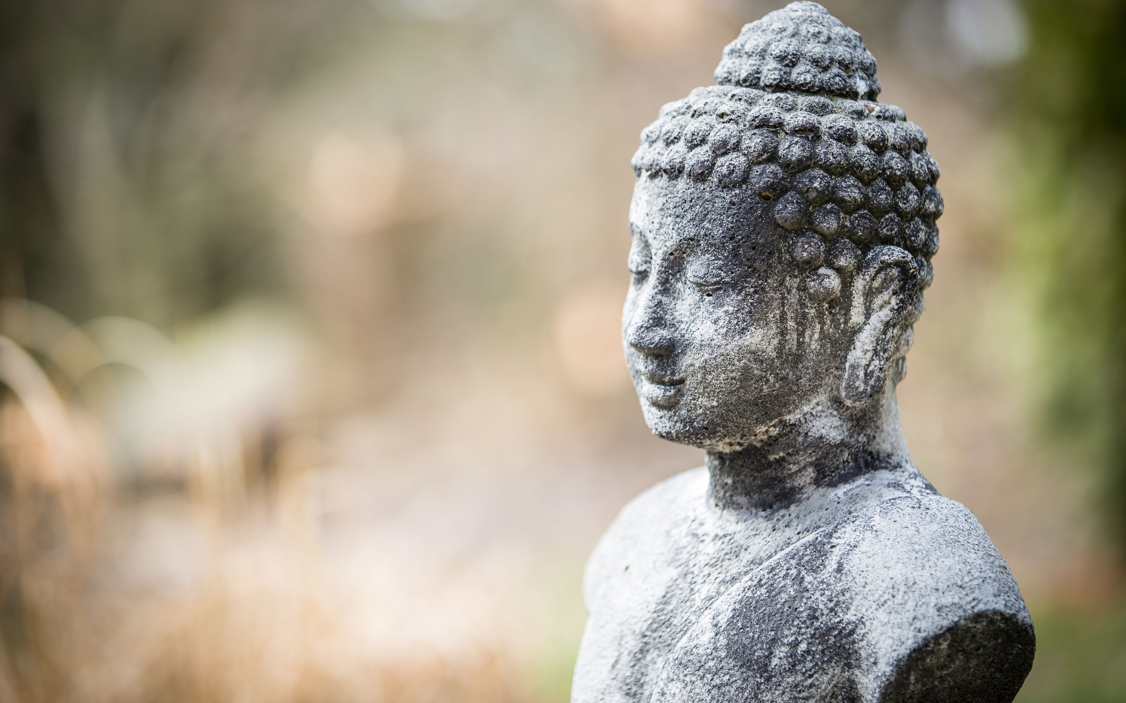 Desktop Wallpaper Statue Of Buddha Doing Meditation, HD Image, Picture, Background, E54g4k