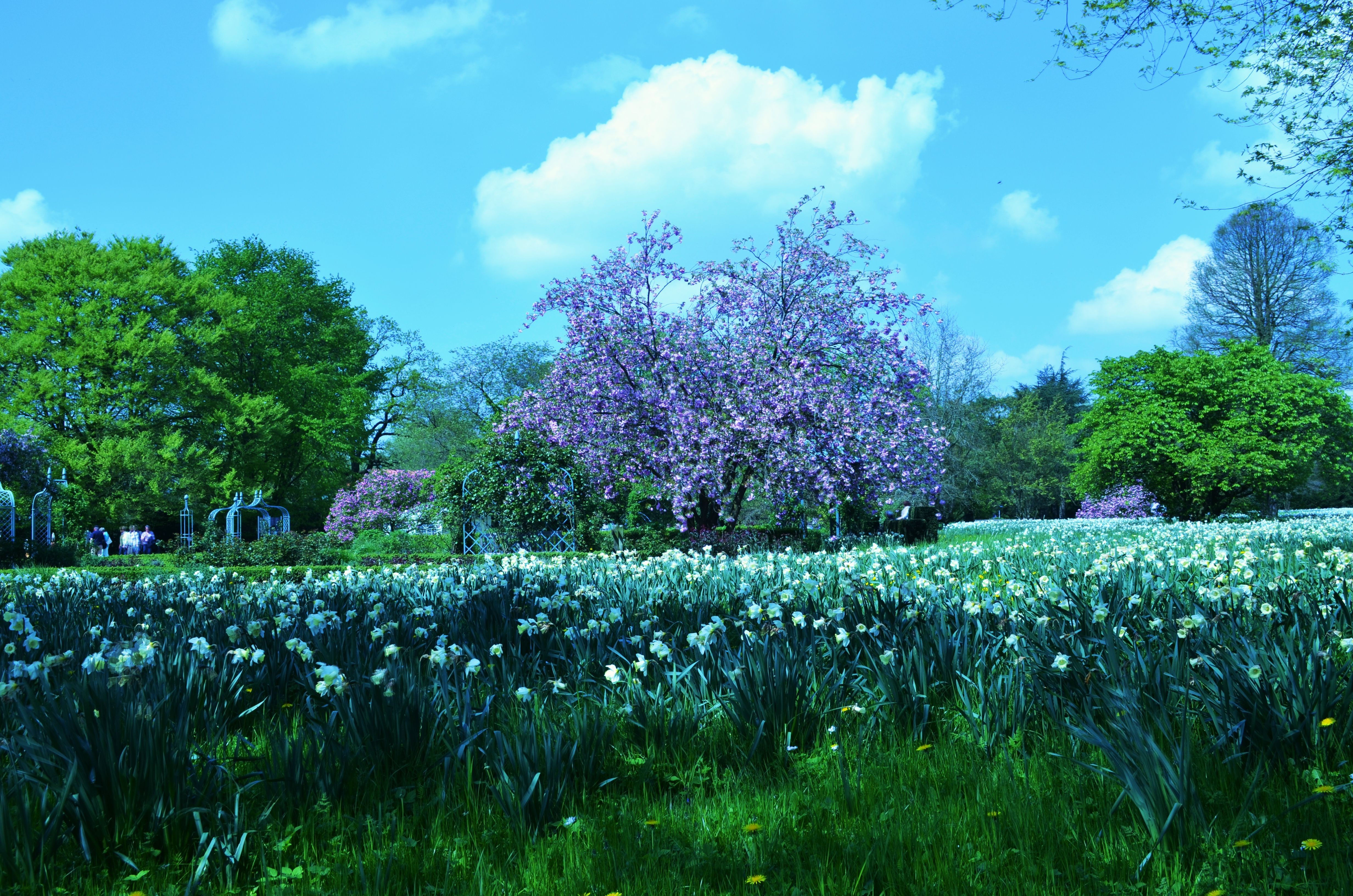 Free download HD Nature Wallpaper Landscapes Background Image Download 4k [4928x3264] for your Desktop, Mobile & Tablet. Explore Wallpaper Fresh. Wallpaper Fresh, Fresh Fruit Wallpaper, Fresh Wallpaper NBA