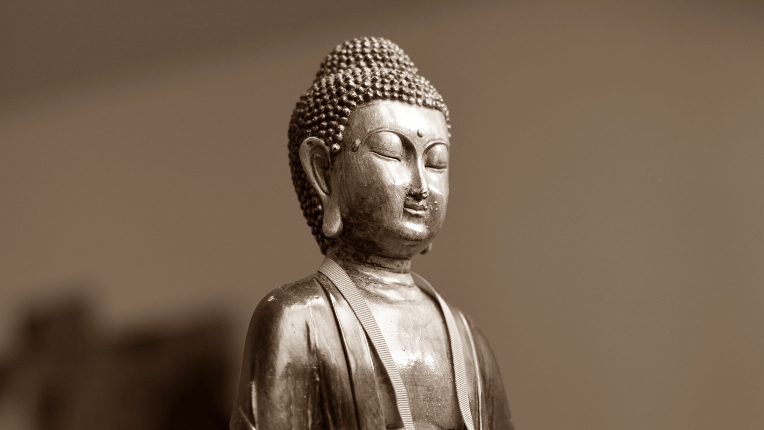 Download wallpaper 2560x1440 buddha, meditation, east, figurine widescreen 16:9 HD background