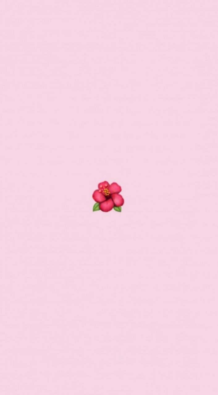 flower emoji pink wallpaper