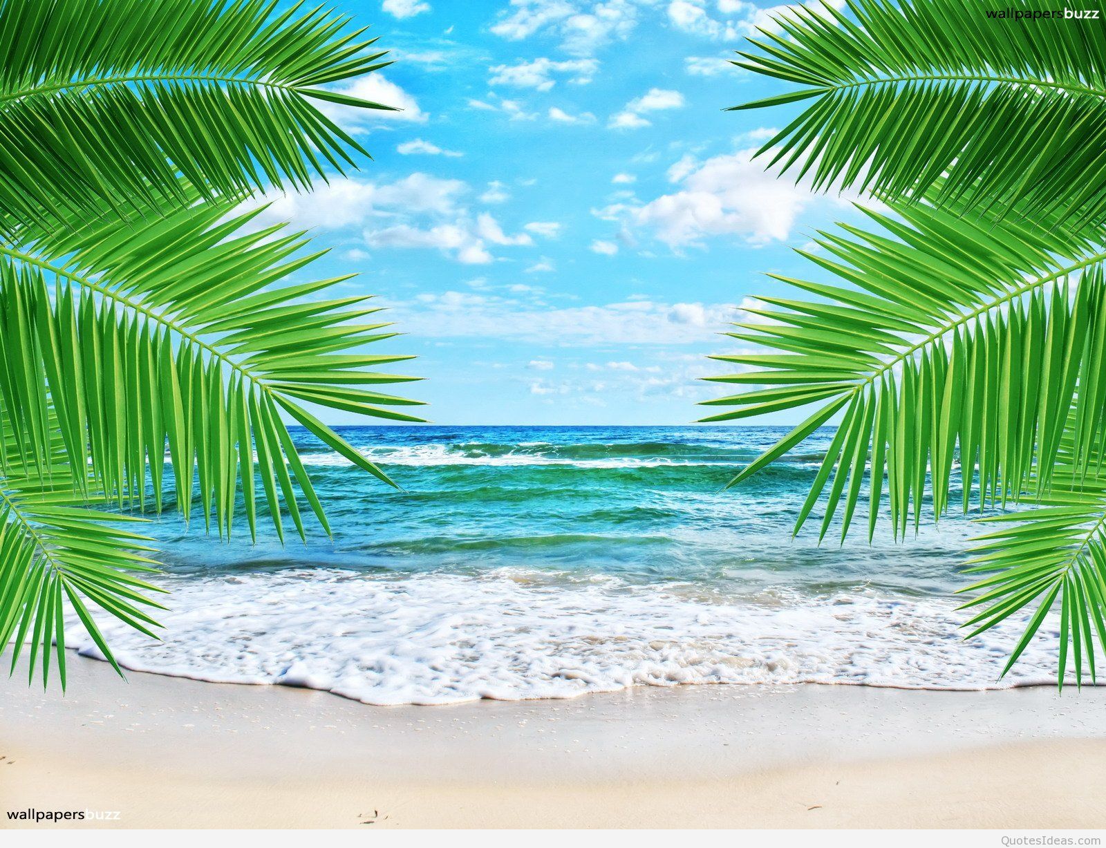 Summer Beach Wallpaper Resolution Tropical Beach Background
