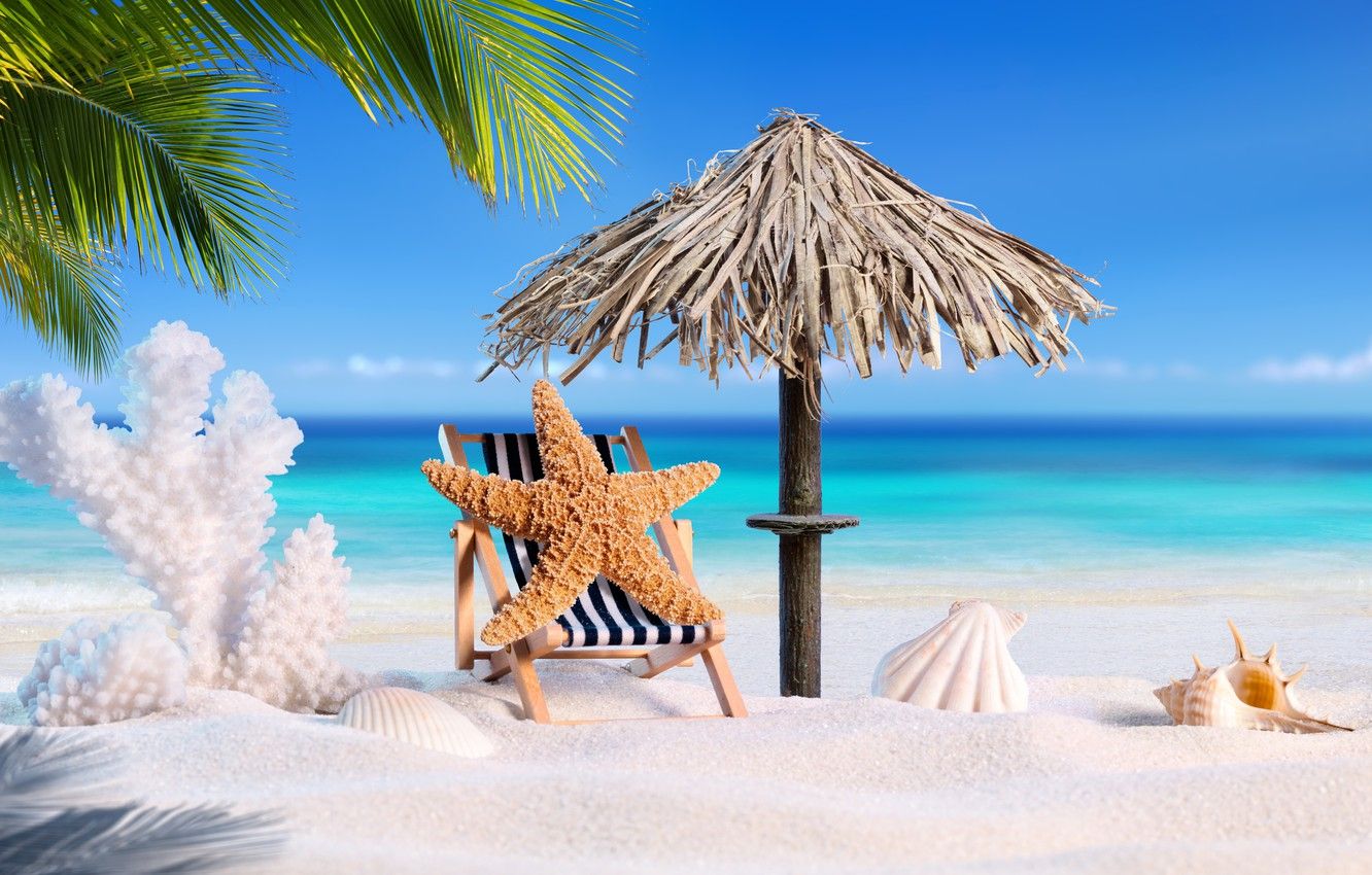 Wallpaper sand, sea, beach, summer, star, vacation, shell, summer, beach, sand, vacation, palms, tropical, starfish, seashells image for desktop, section природа