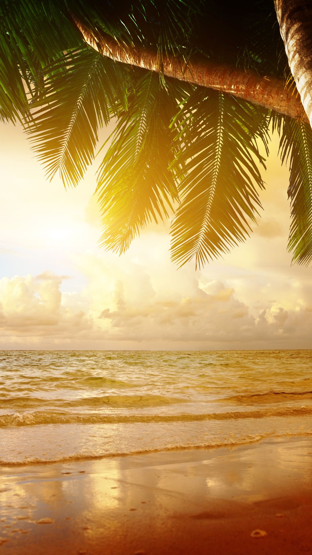 Sea, Palm, Ocean, Tropical, Sunset, Summer, Beach, Resolution Summer Desktop Background