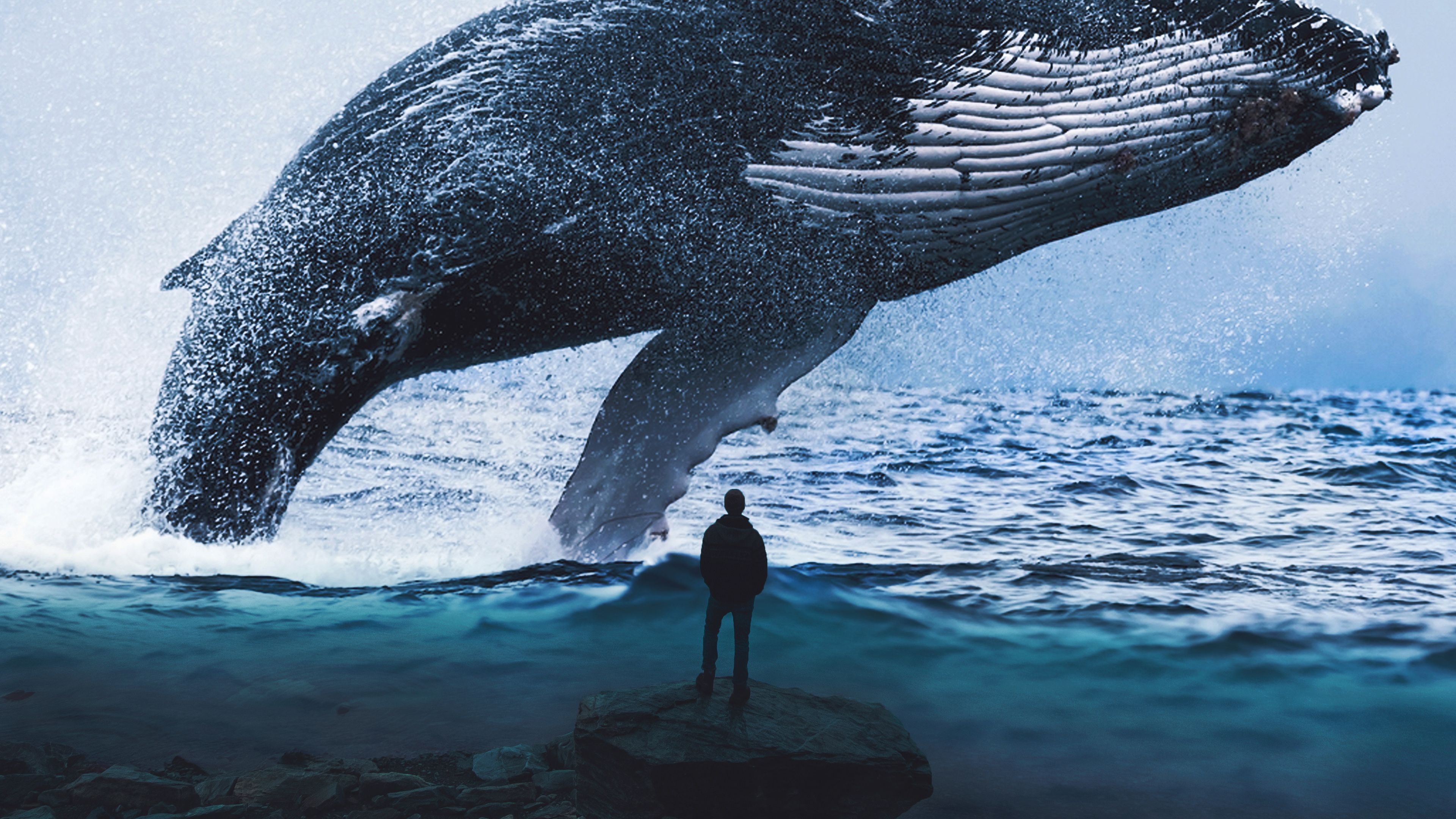 Blue Whale Dream 4K Wallpaper