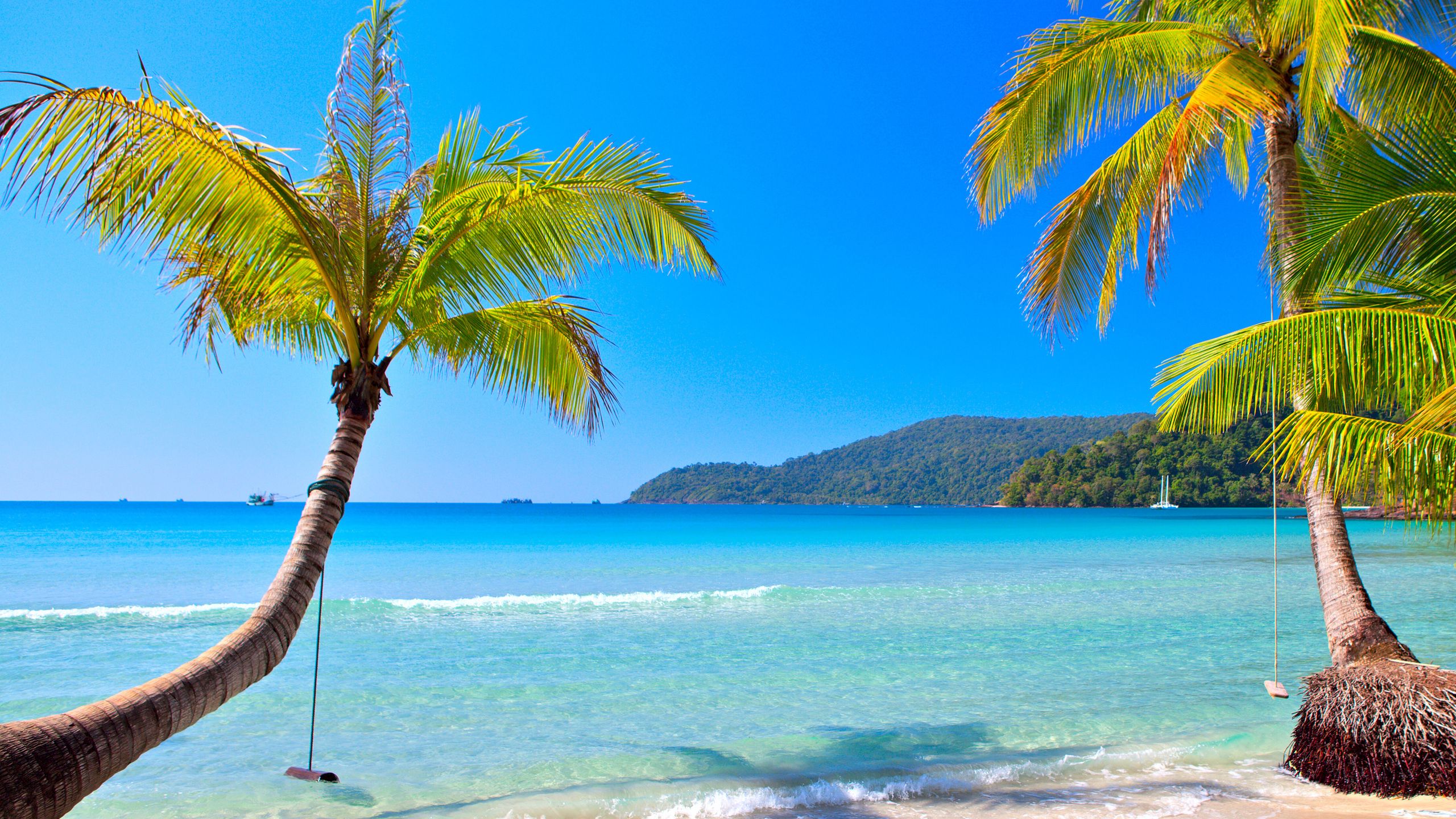 paradise, vacation, summer, ocean, tropical, beach, sea, coast, emerald, blue, palm, sand desktop wallpaper 7545