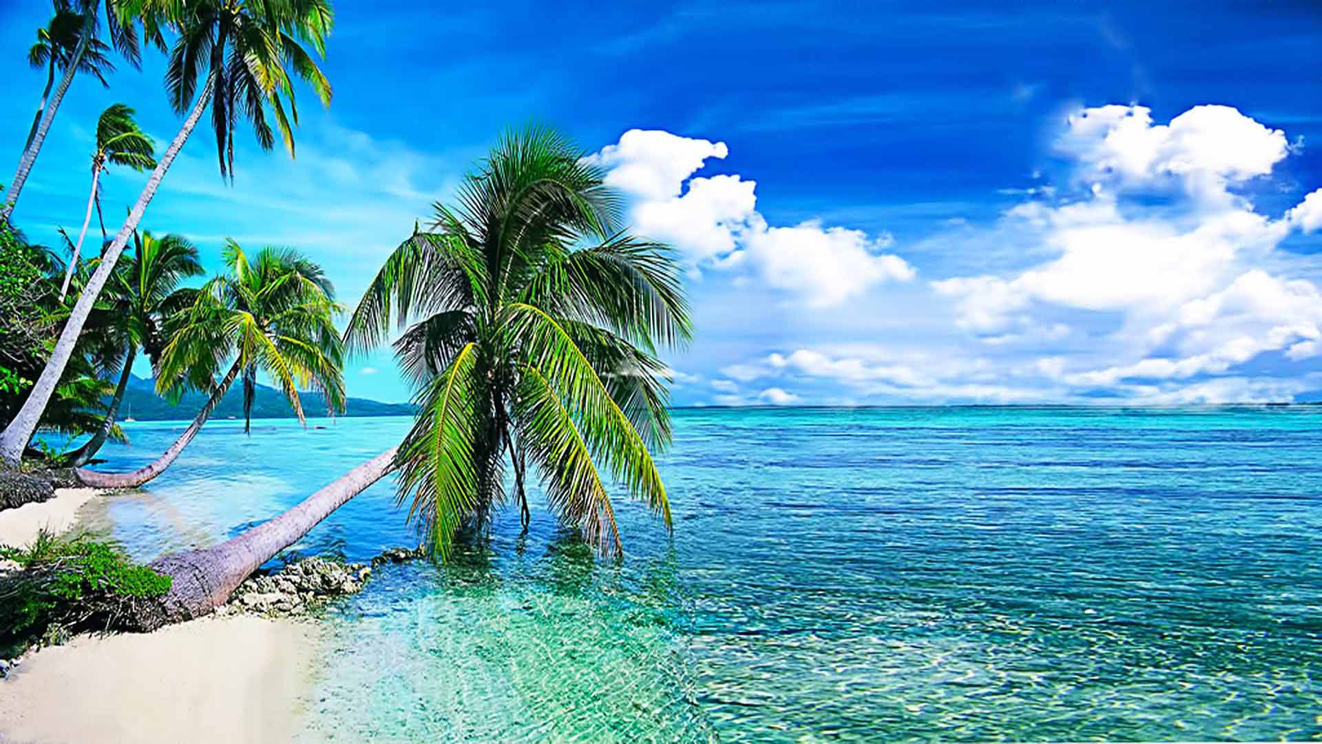Summer Background, Tropical Beach With Palmi.okean With Crystal Clear Water And White Clouds In The Sky Desktop Wallpaper Download Free 1920x1200, Wallpaper13.com
