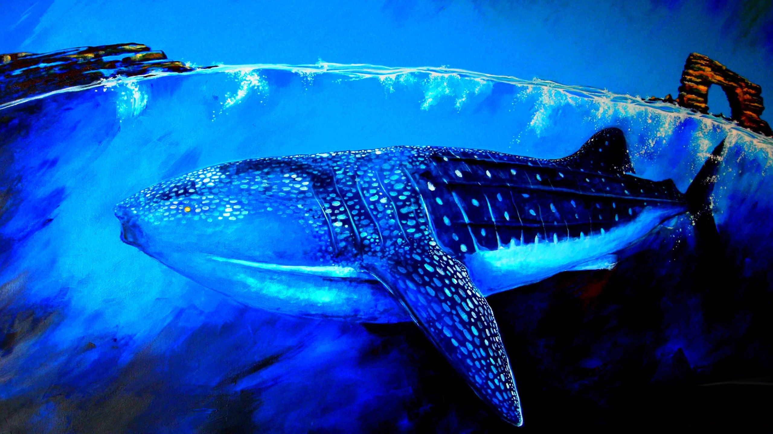 Whale and surfer Live Wallpaper - free download